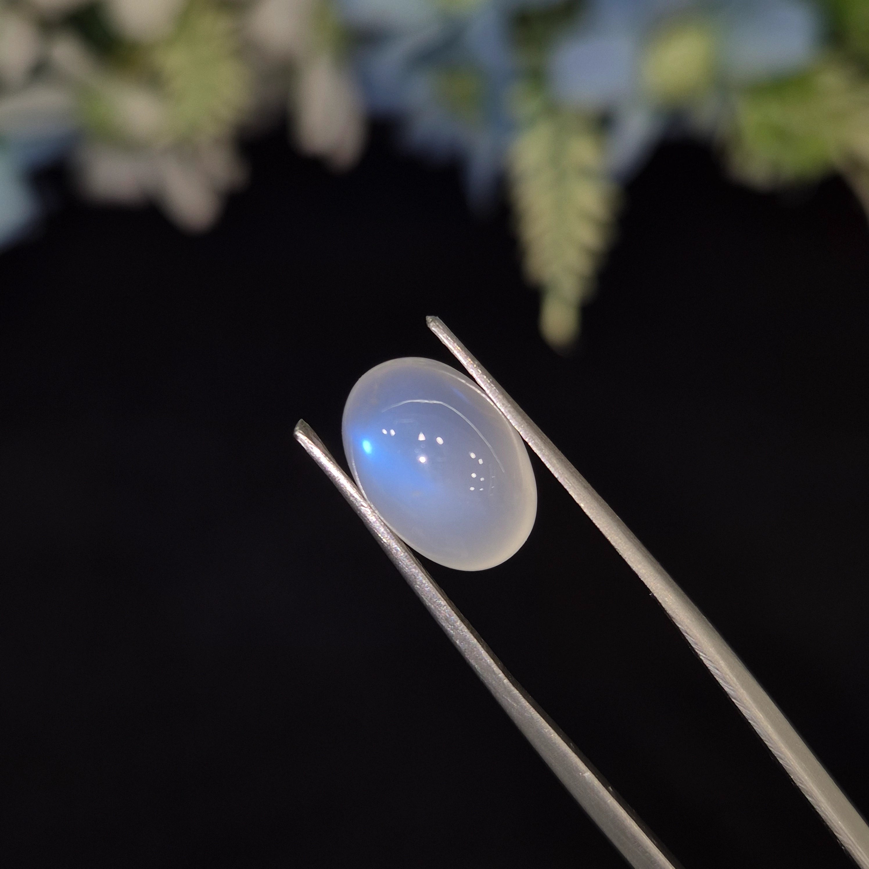 Natural Blue Moonstone (Chandramani) | BMS 11 | 5.56 Carat | Certified