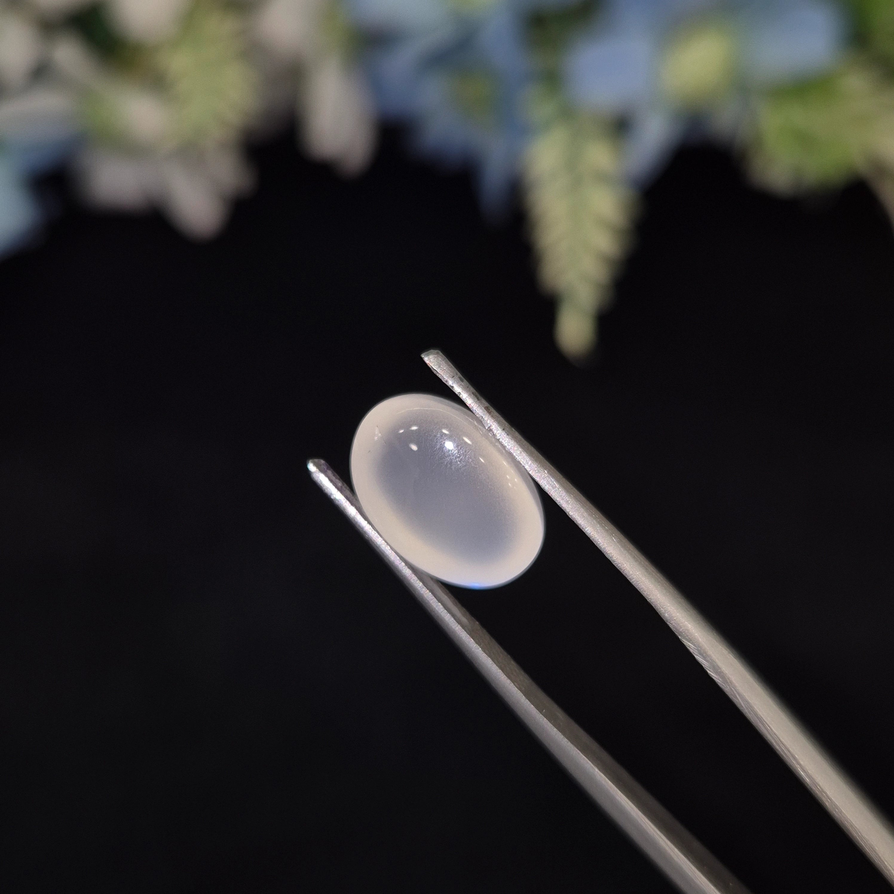 Natural Blue Moonstone (Chandramani) | BMS 11 | 5.56 Carat | Certified