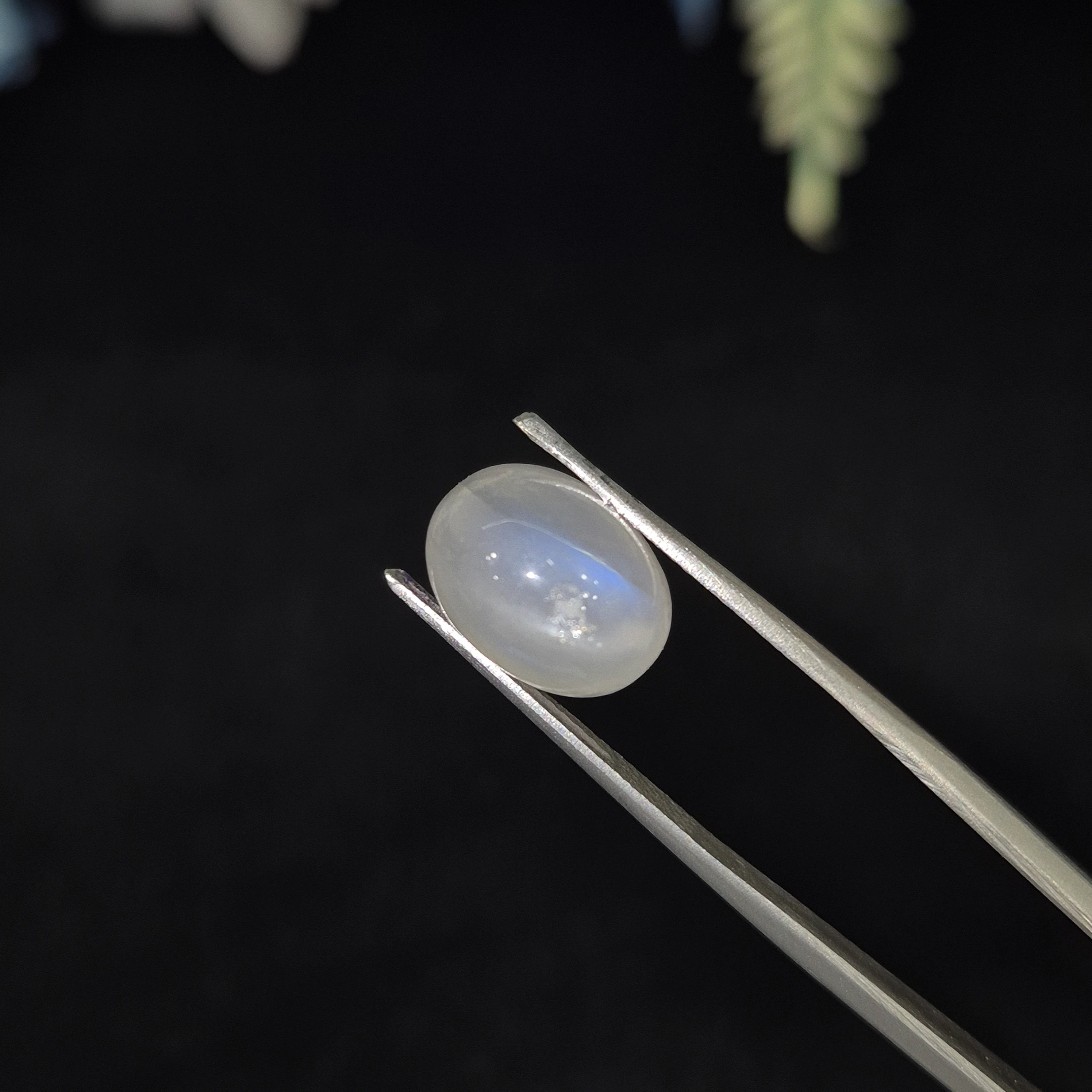 Natural Blue Moonstone (Chandramani) | BMS 9 | 5.99 Carat | Certified