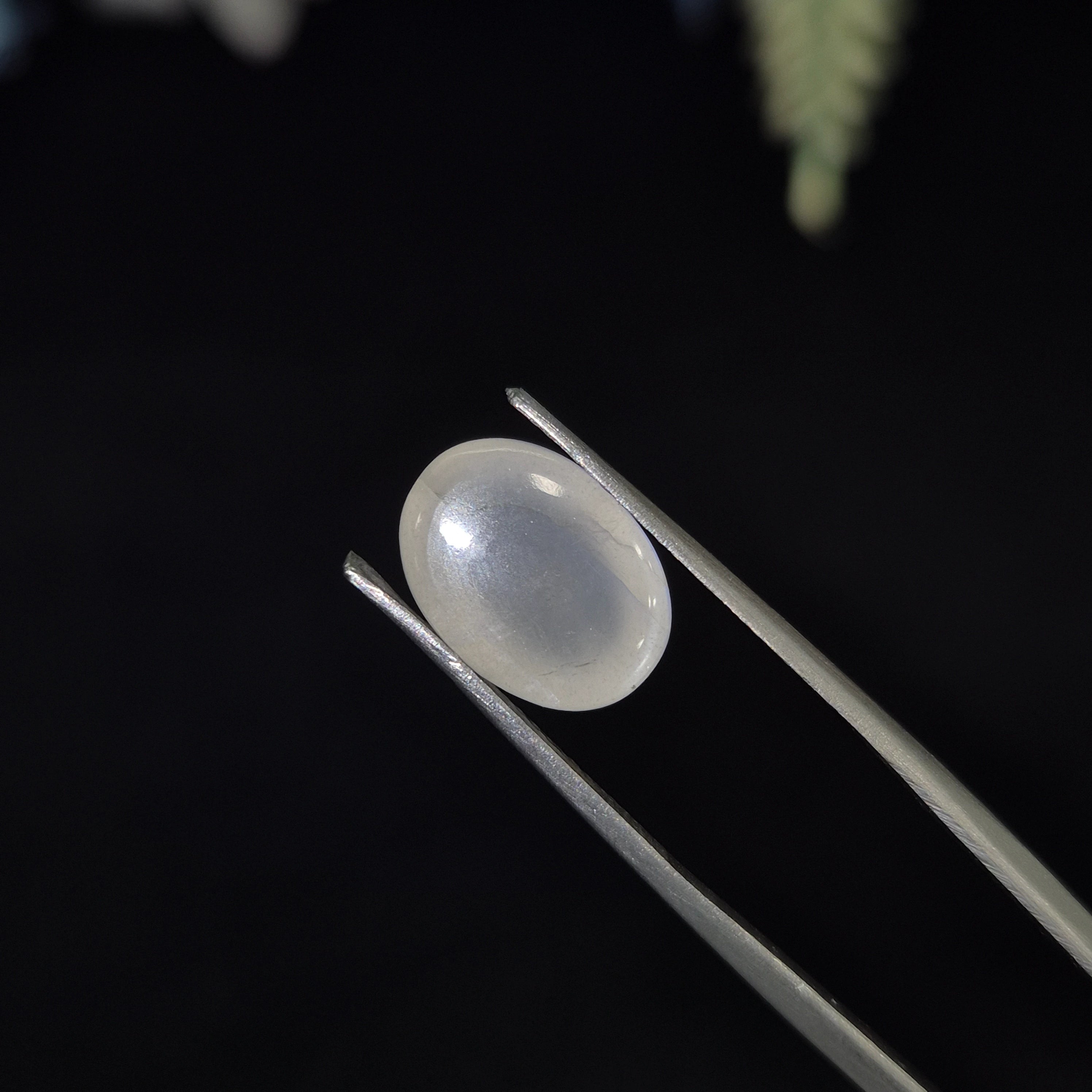 Natural Blue Moonstone (Chandramani) | BMS 9 | 5.99 Carat | Certified