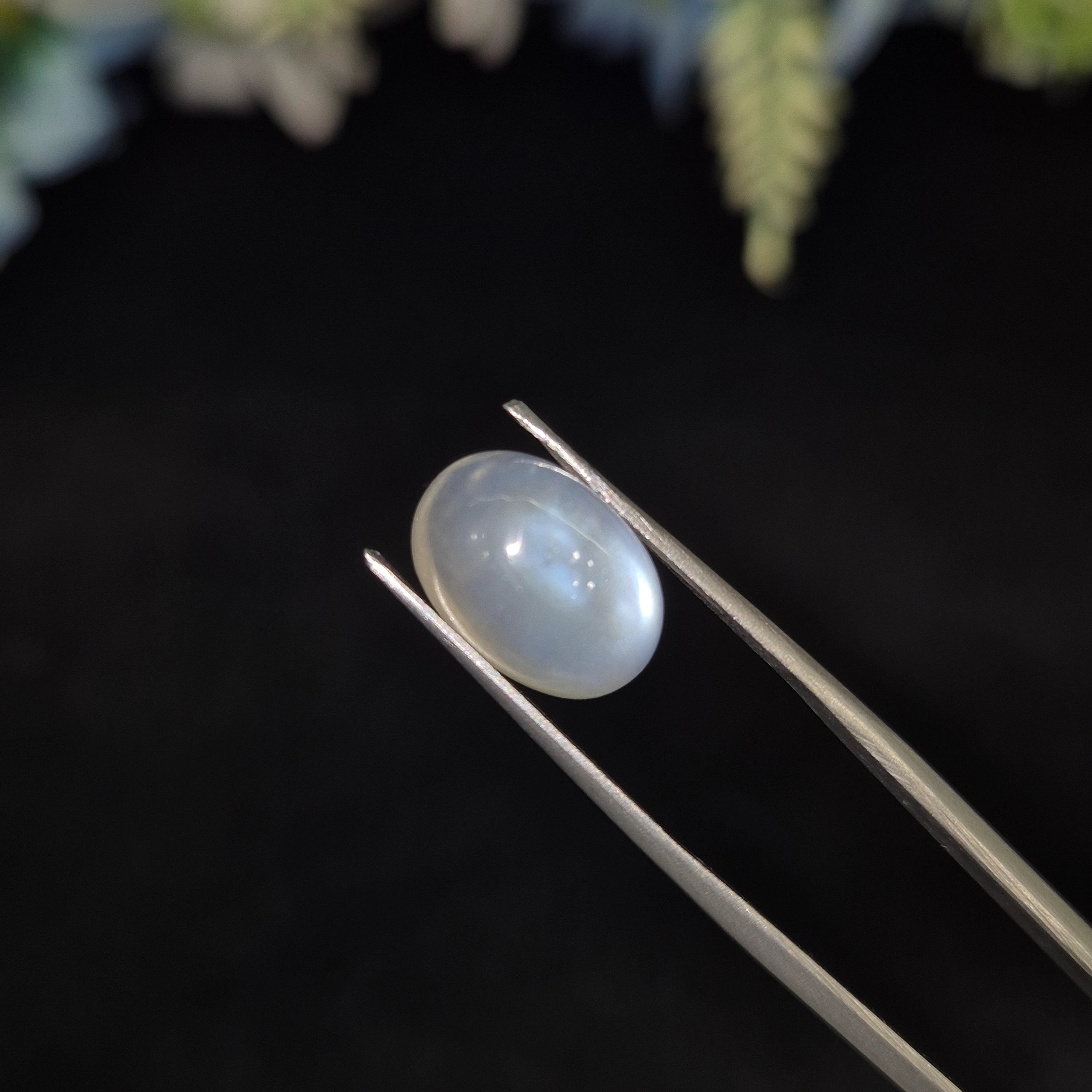 Natural Blue Moonstone (Chandramani) | BMS 10 | 5.35 Carat | Certified