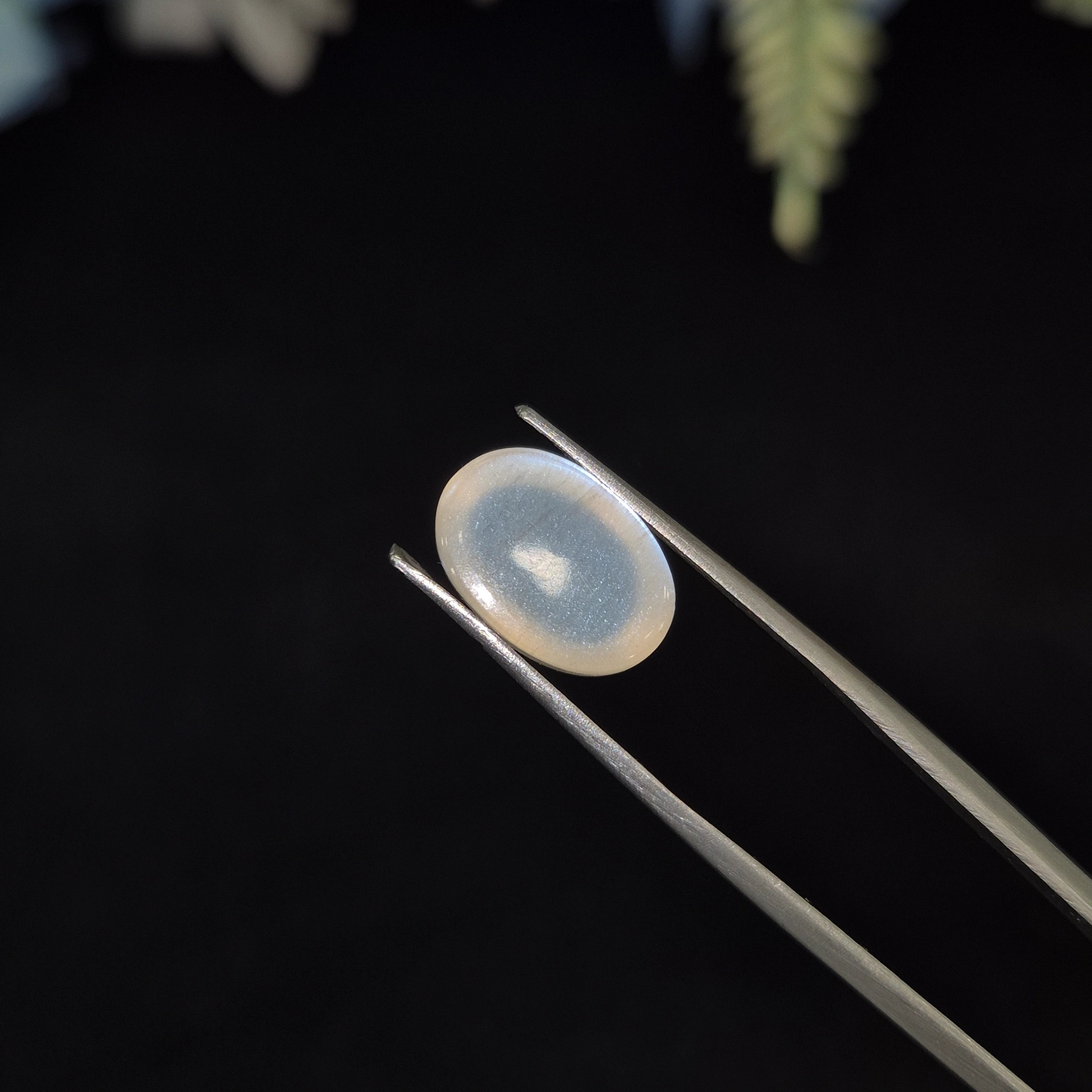 Natural Blue Moonstone (Chandramani) | BMS 10 | 5.35 Carat | Certified