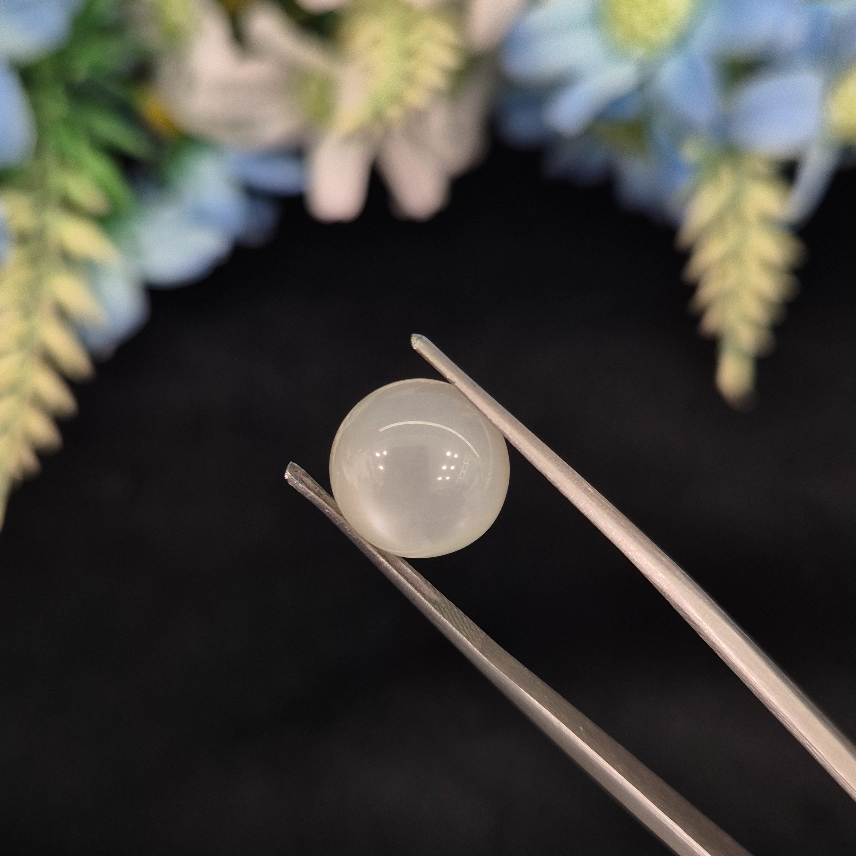 Natural Moonstone (Chandramani) | Moonstone 24 | 5.67 Carat | Certified