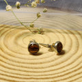 Tiger Eye Earring | BGJER-4