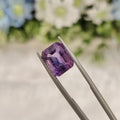 Amethyst | AME 48 | 6.49 Carat
