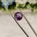 Amethyst | AME 34 | 5.35 Carat