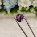 Amethyst | AME 65 | 5.16 Carat