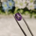 Amethyst | AME 87 | 2.37 Carat