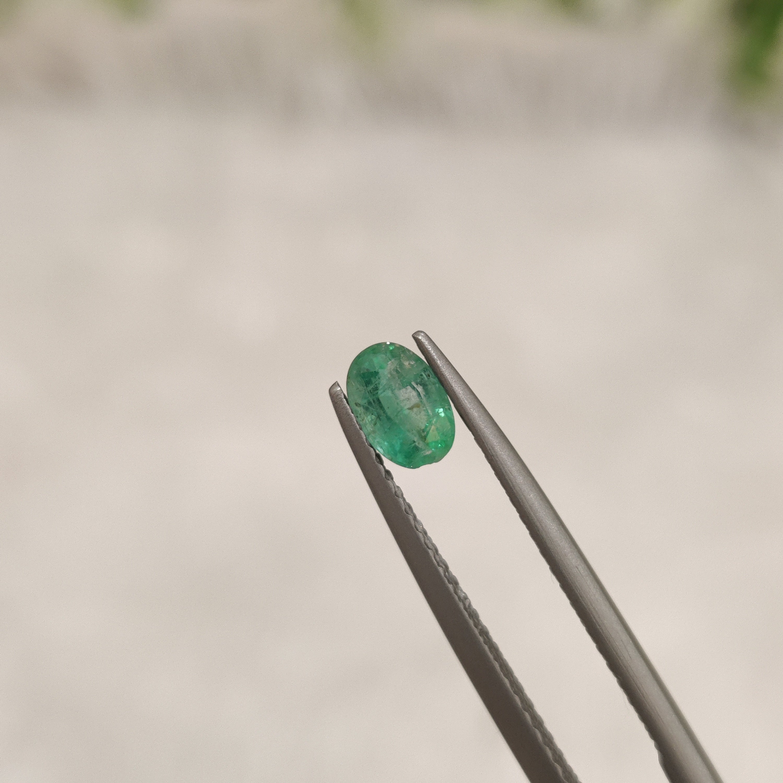Emerald | EM 194 | 0.47 Carat
