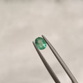 Emerald | EM 192 | 0.34 Carat