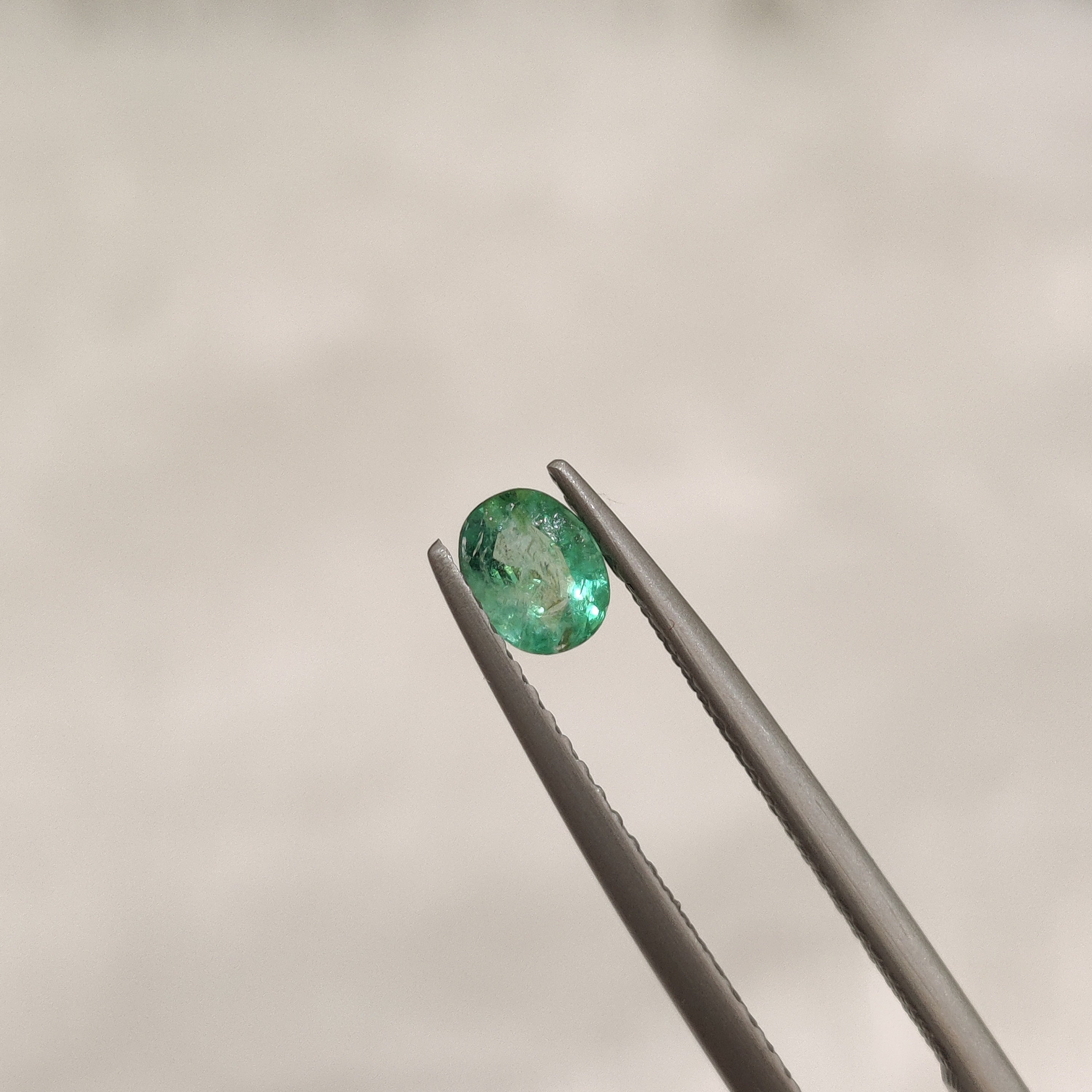 Emerald | EM 192 | 0.34 Carat