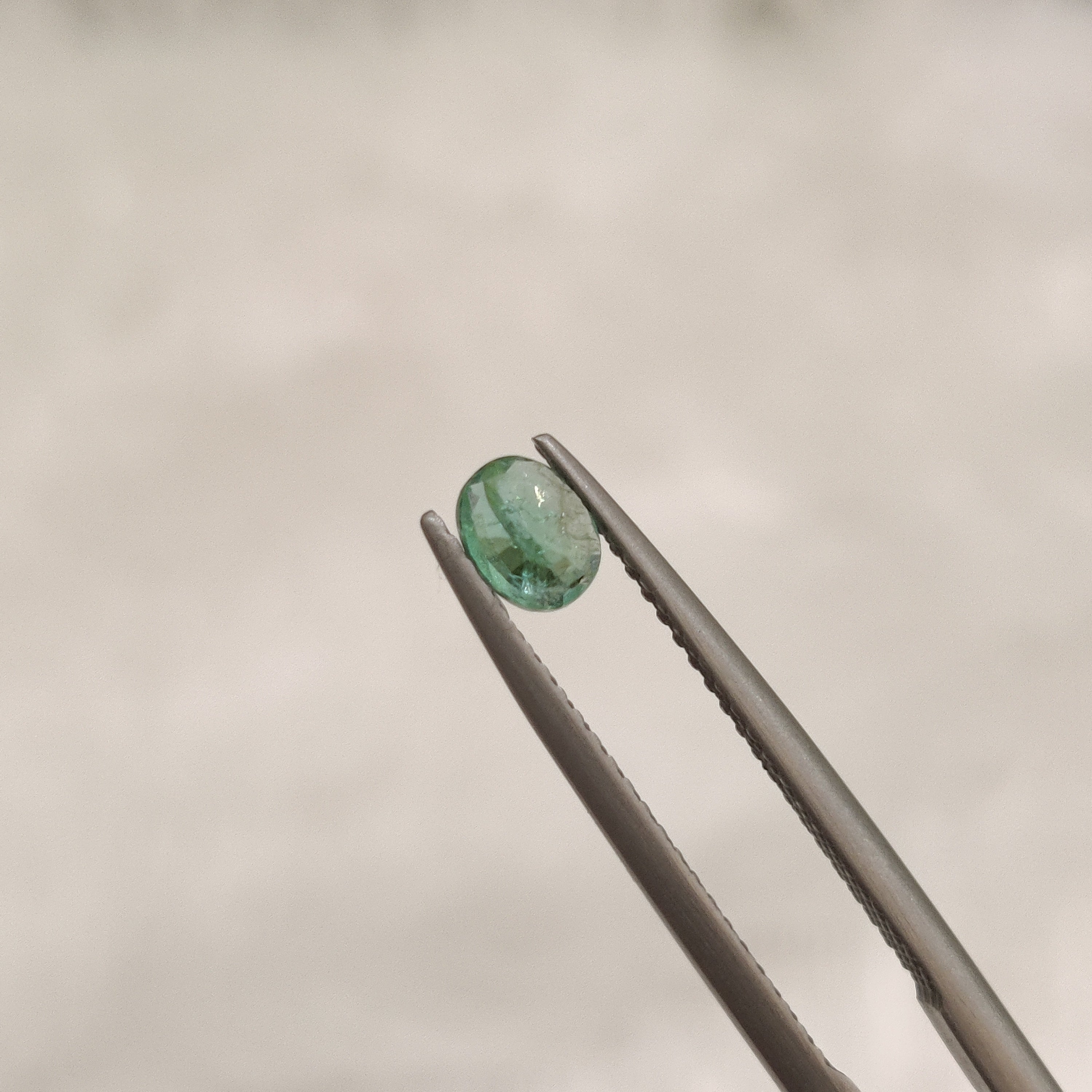 Emerald | EM 192 | 0.34 Carat