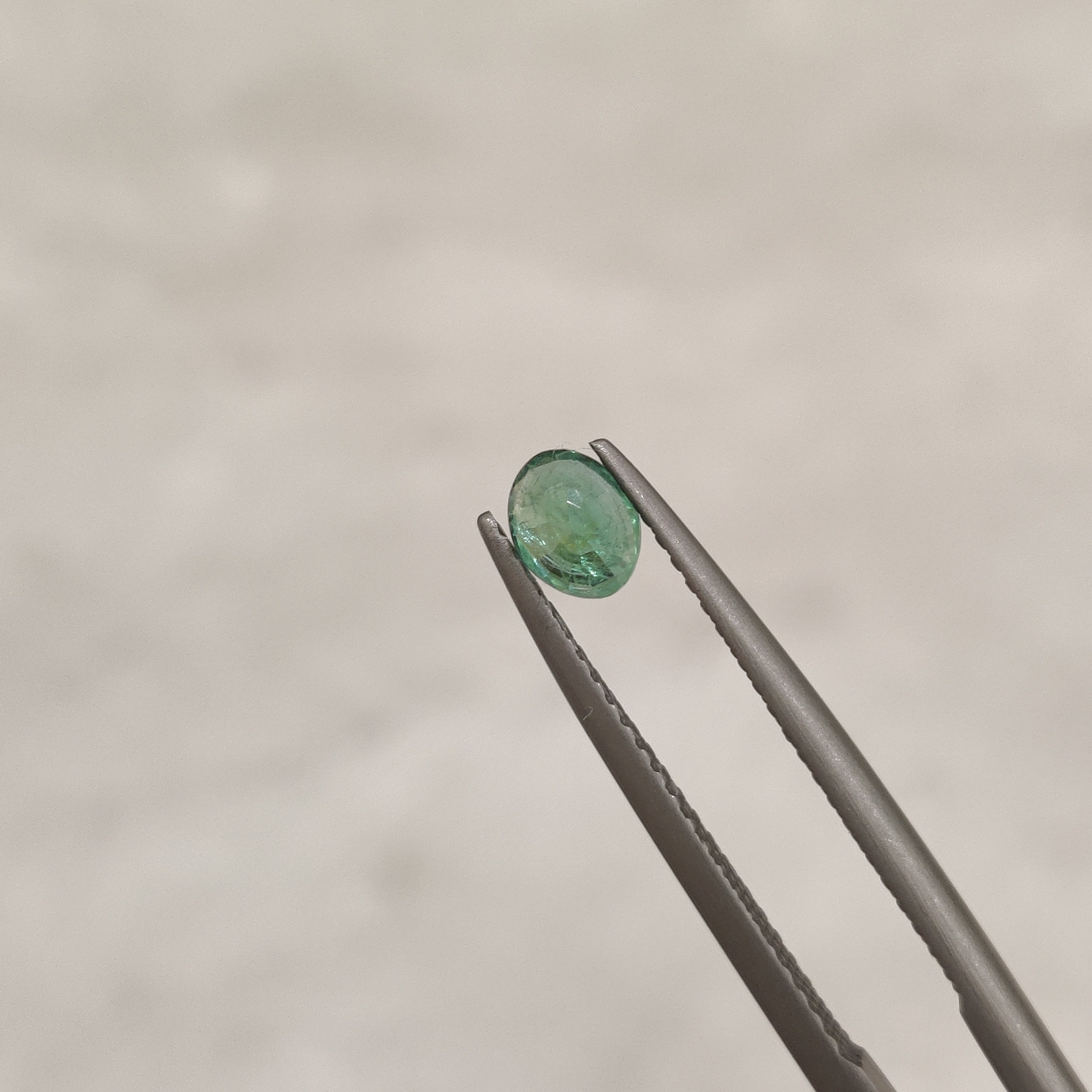 Emerald | EM 193 | 0.4 Carat