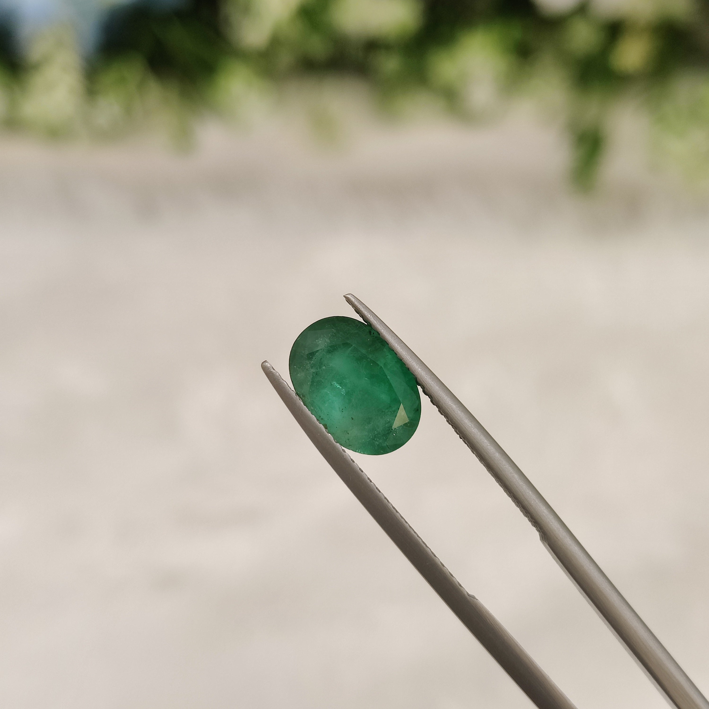 Emerald | EM 146 | 2.48 Carat
