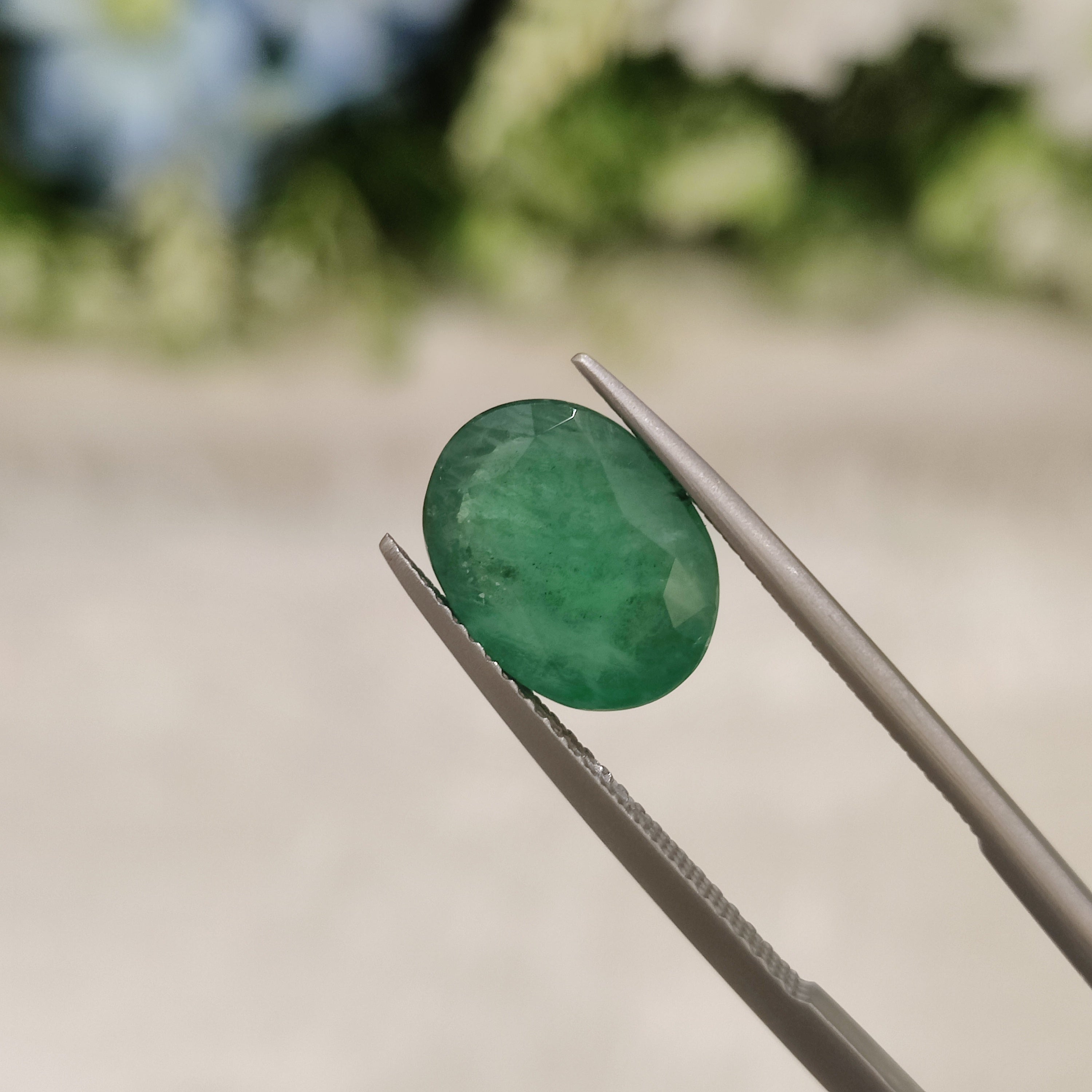 Emerald | EM 31 | 3.84 Carat