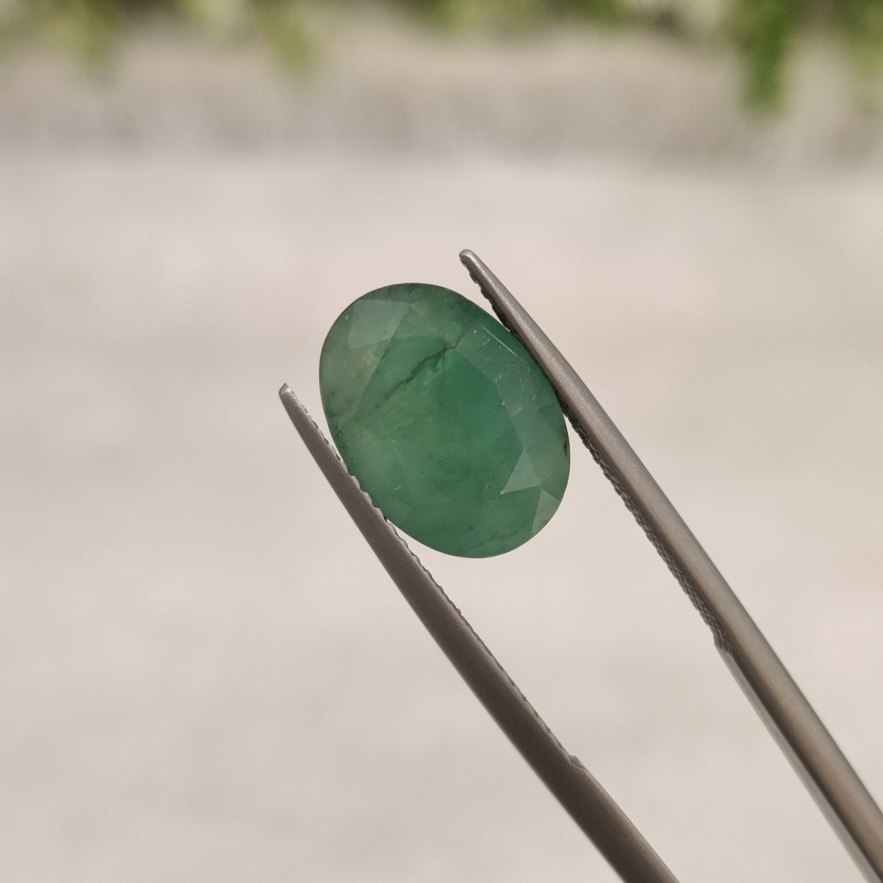Emerald | EM 312 | 4.91 Carat