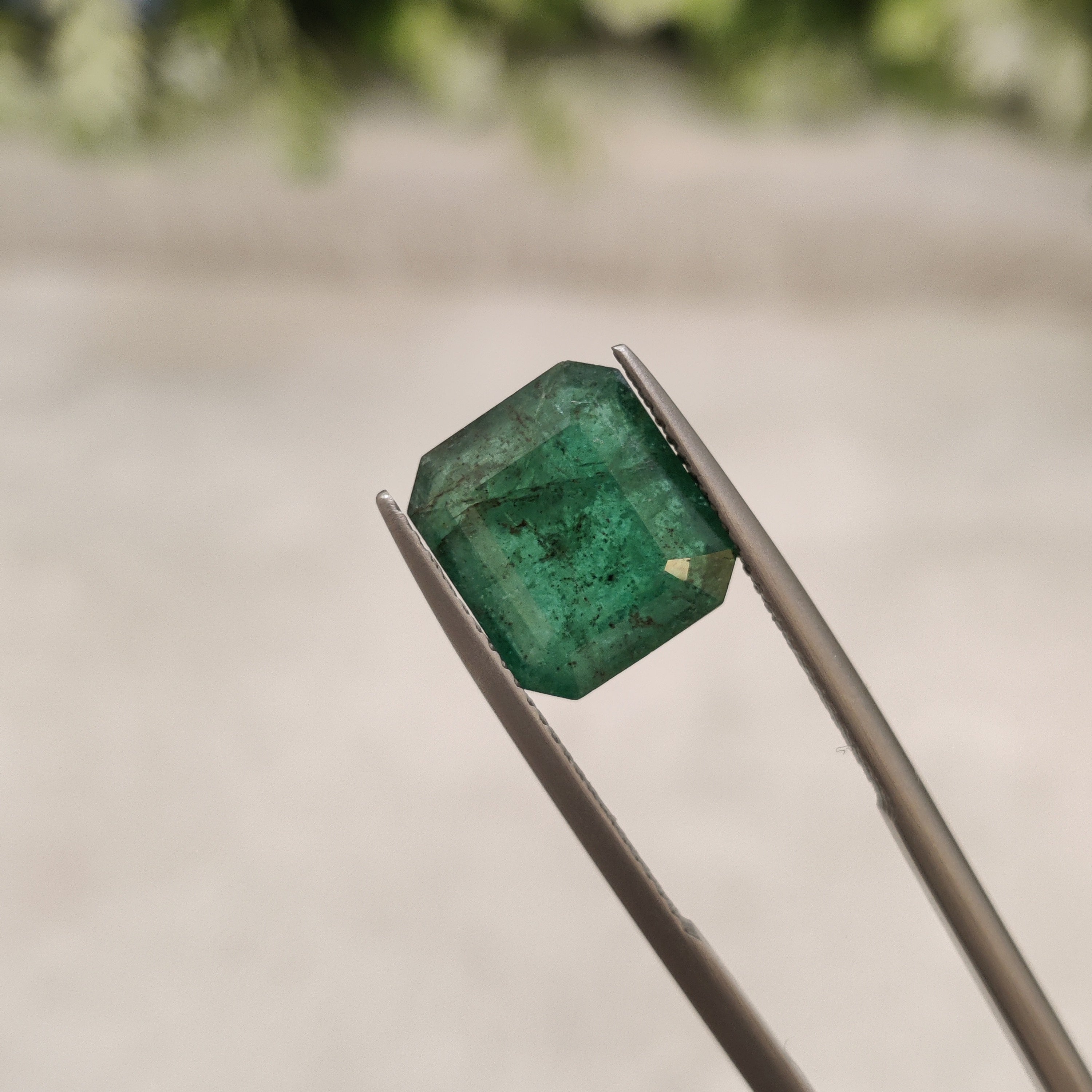 Emerald | EM 21 | 4.79 Carat