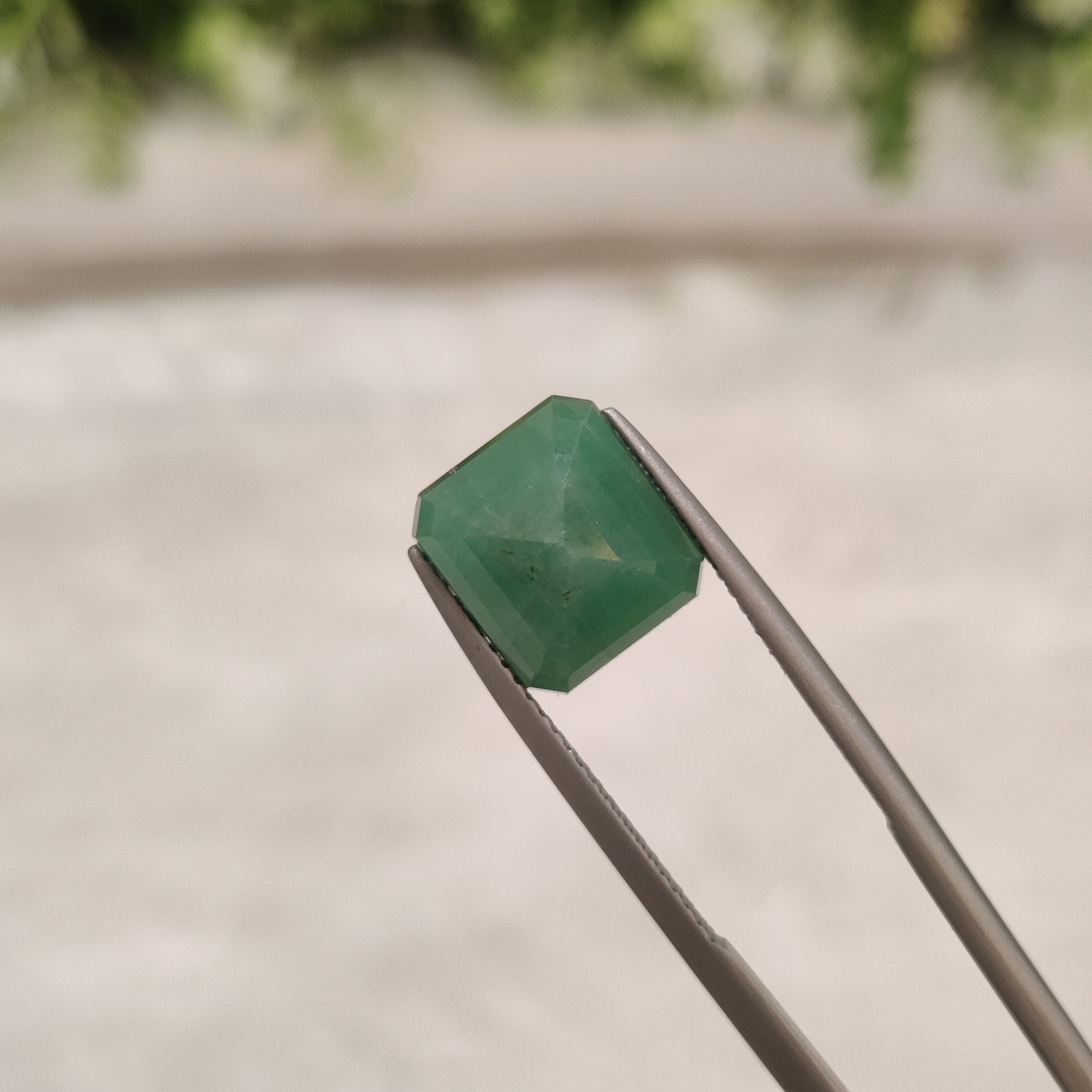 Emerald | EM 216 | 4.81 Carat