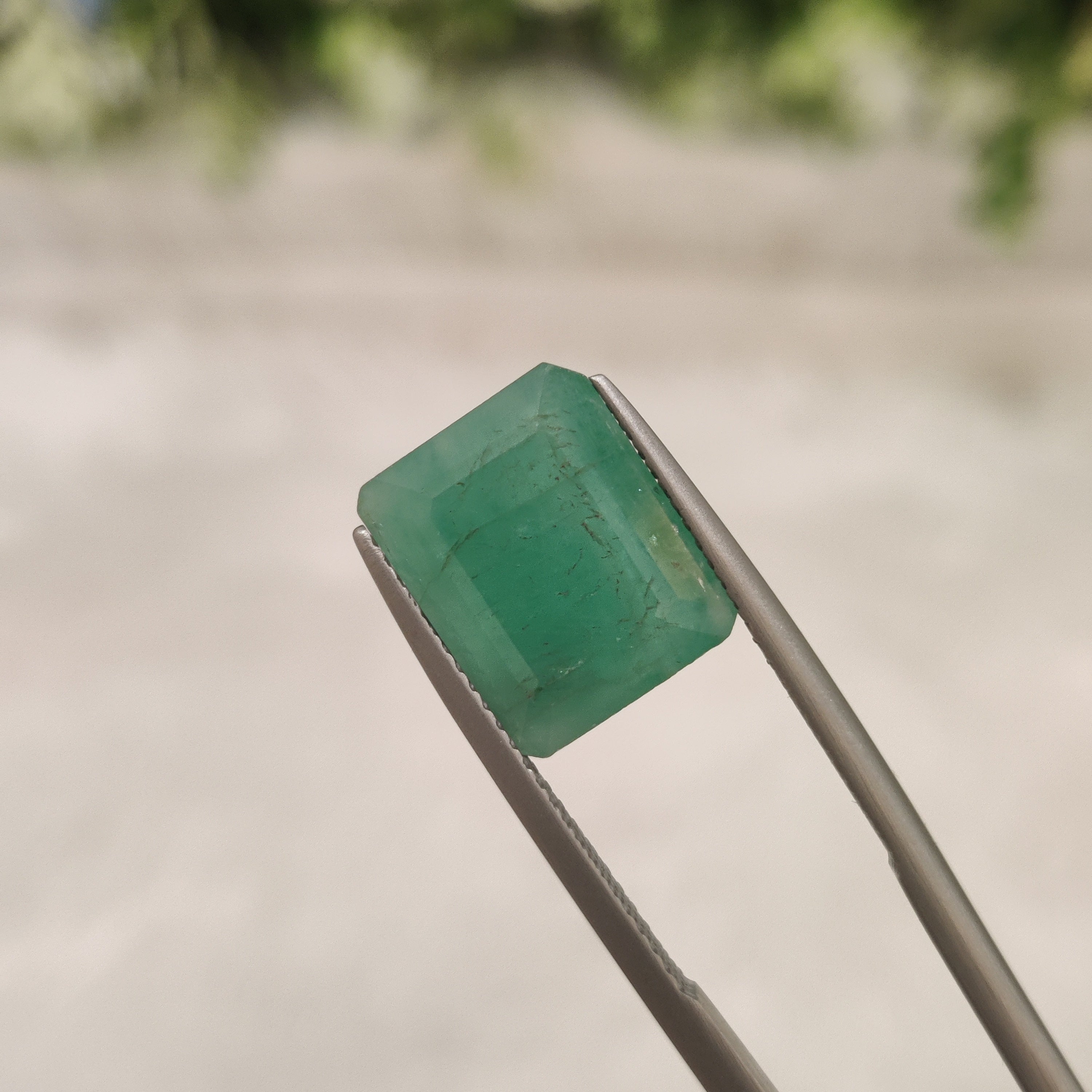 Emerald | EM 323 | 5.49 Carat