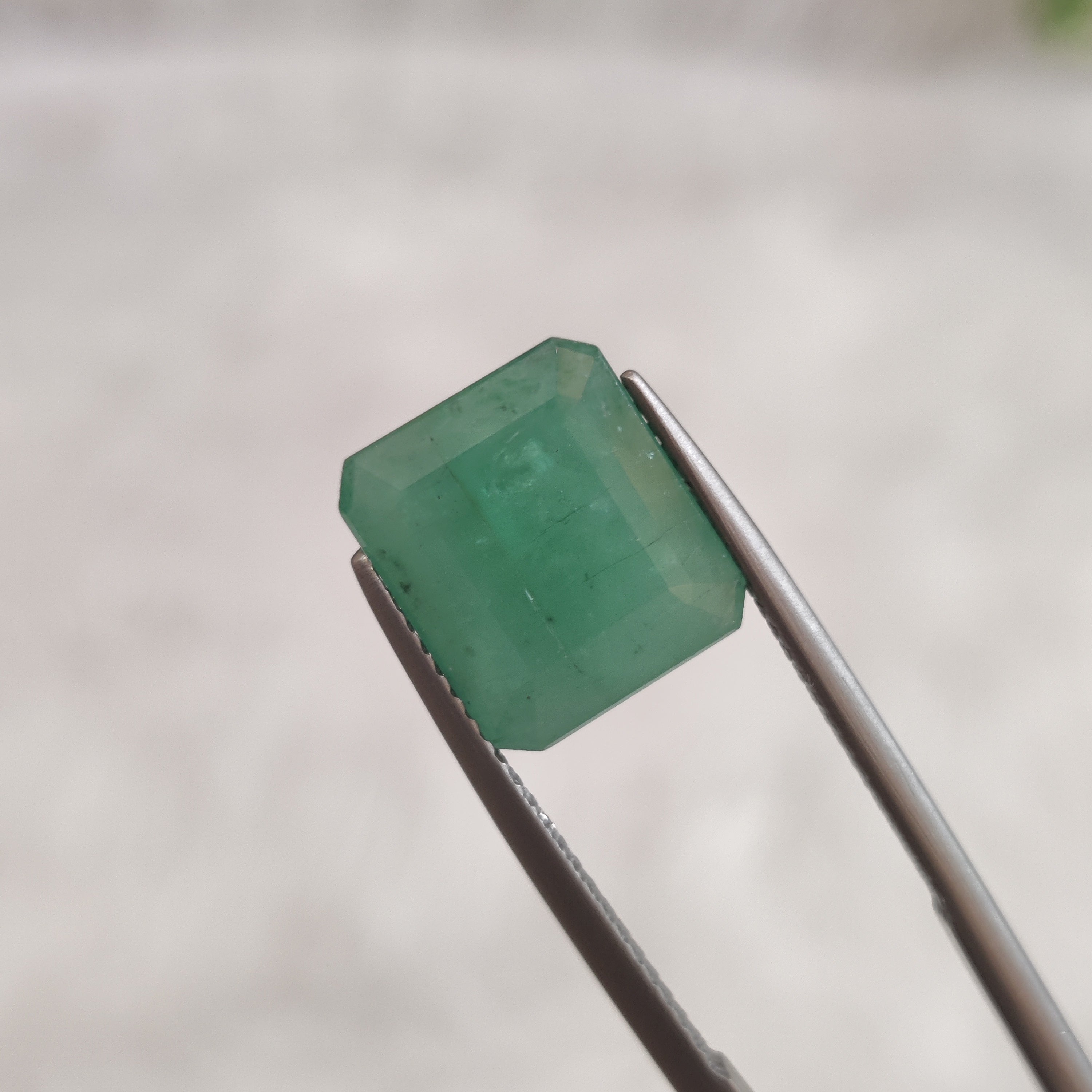 Emerald | EM 326 | 5.76 Carat