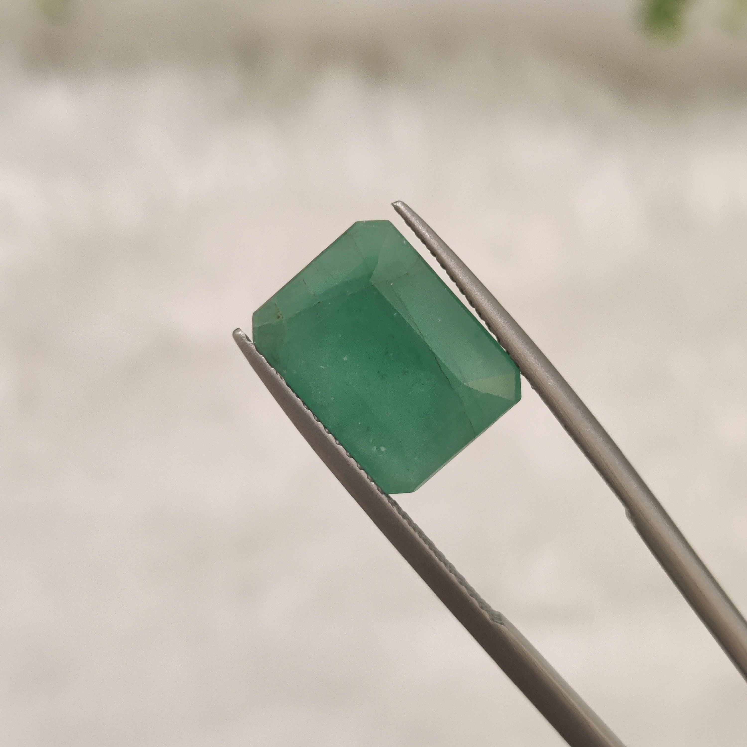Emerald | EM 328 | 6.6 Carat