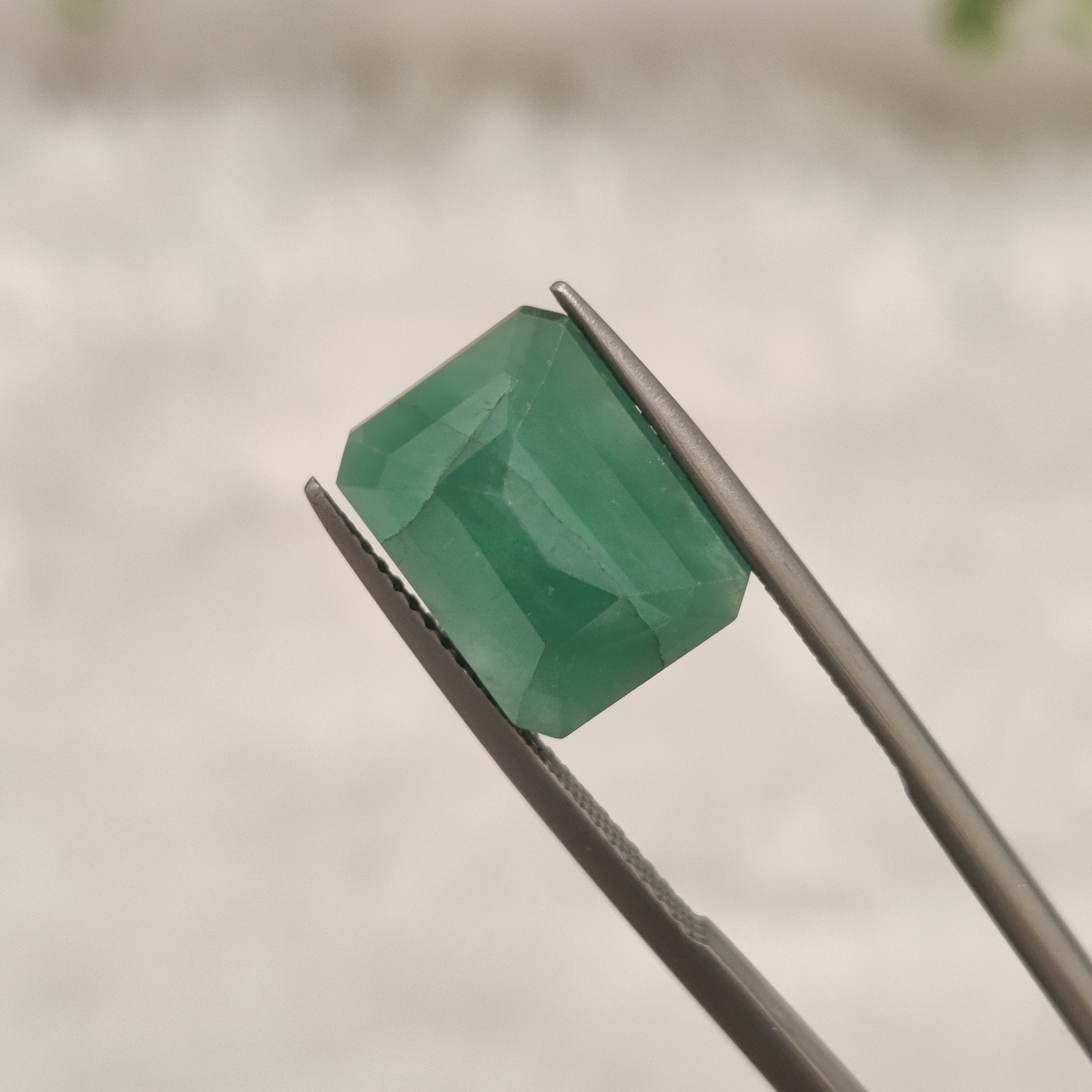Emerald | EM 328 | 6.6 Carat