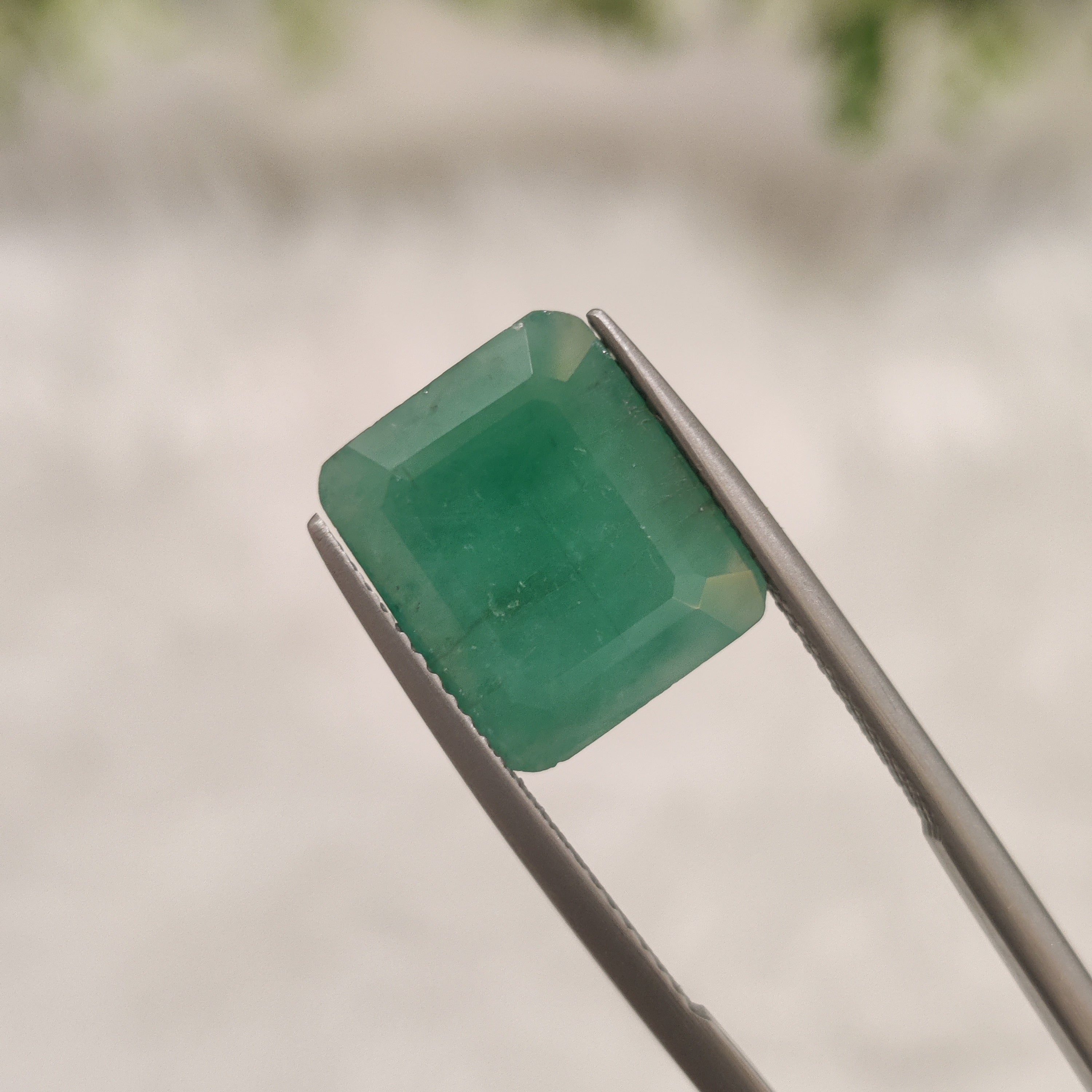 Emerald | EM 329 | 6.7 Carat