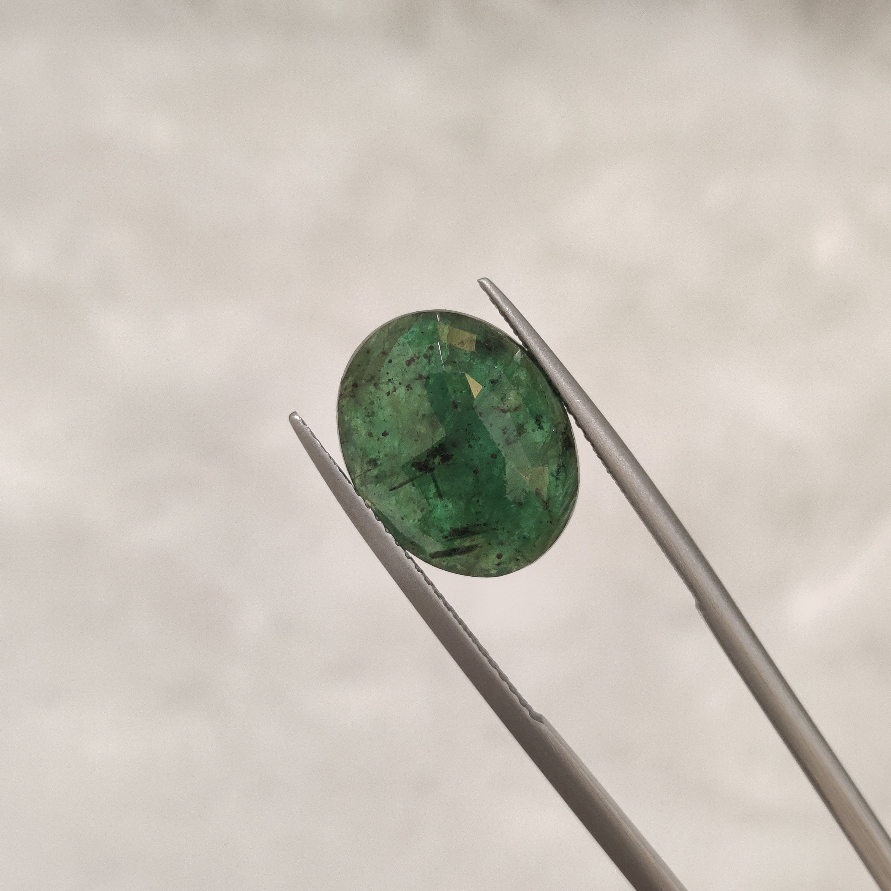 Emerald | EM 131 | 6.63 Carat