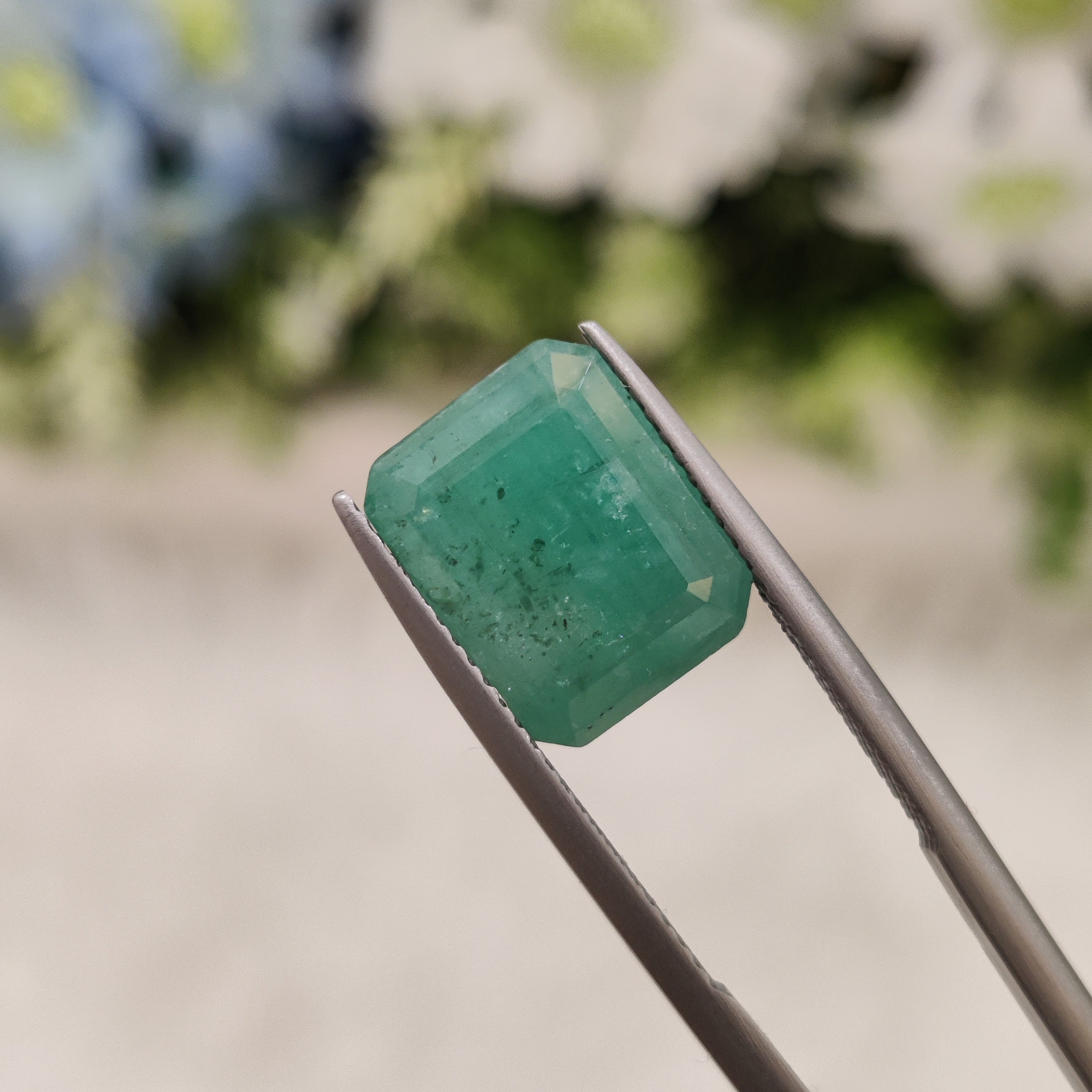 Emerald | EM 120 | 7.21 Carat