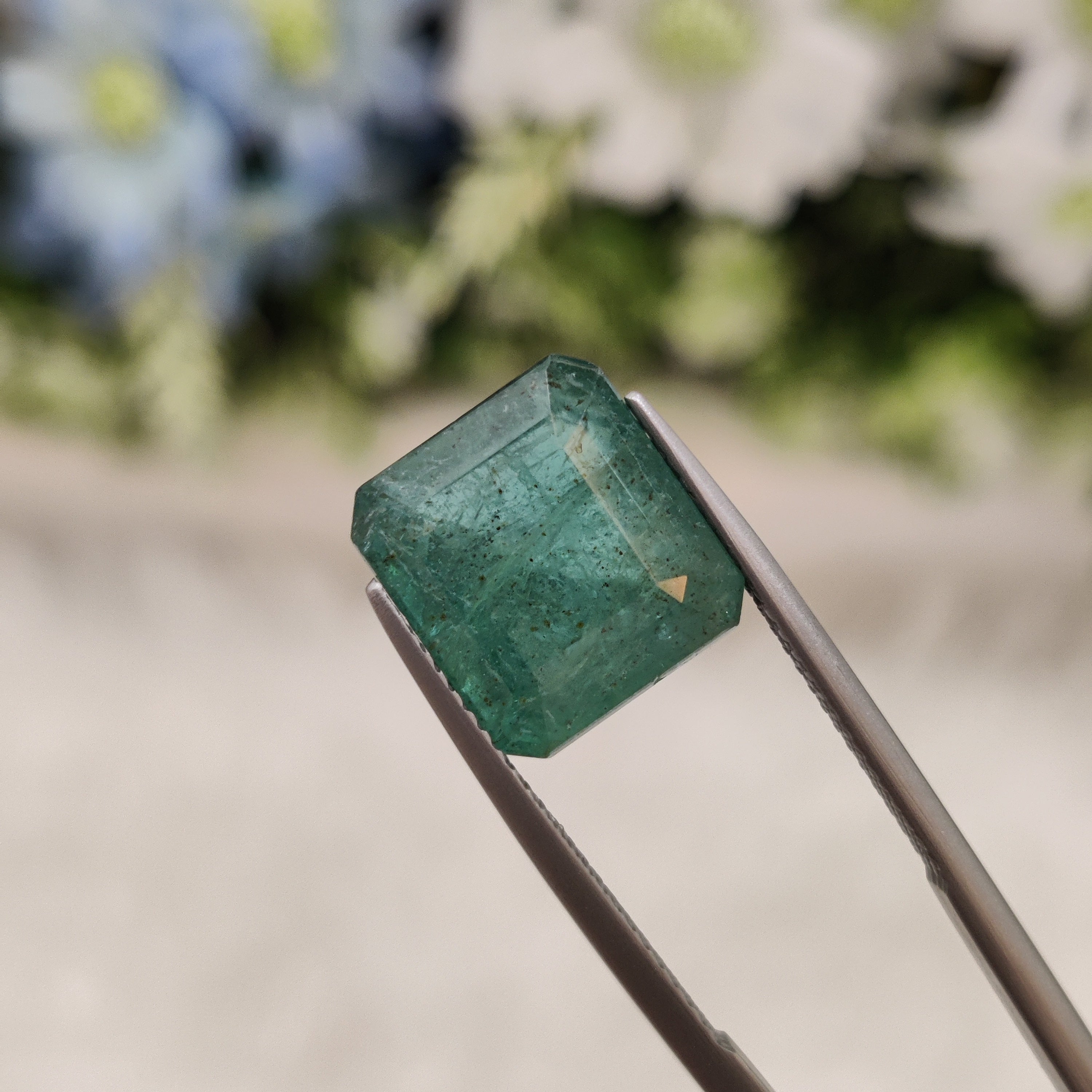 Emerald | EM 335 | 8.6 Carat