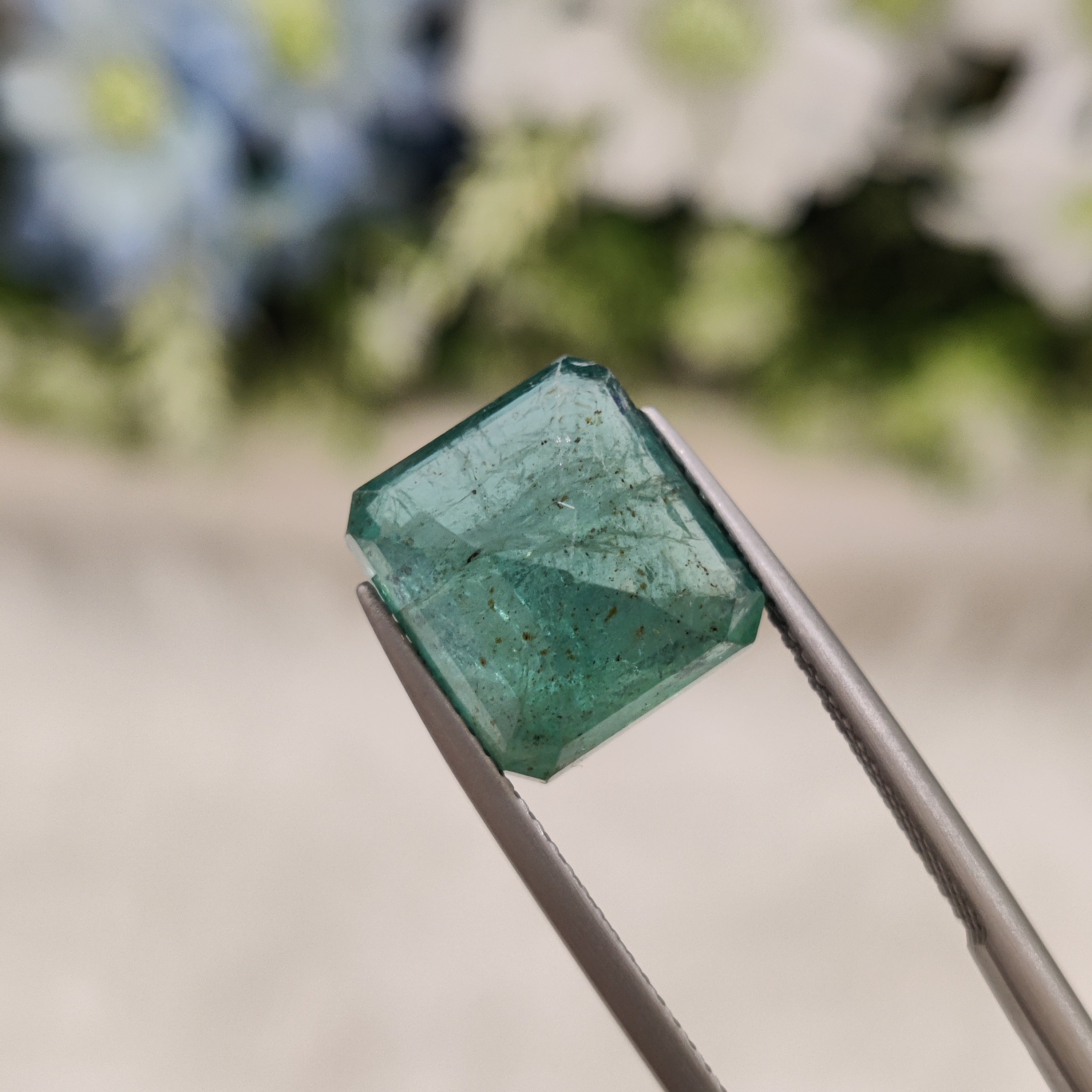 Emerald | EM 335 | 8.6 Carat