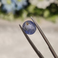 Blue Sapphire | BS 15 | 3.14 Carat