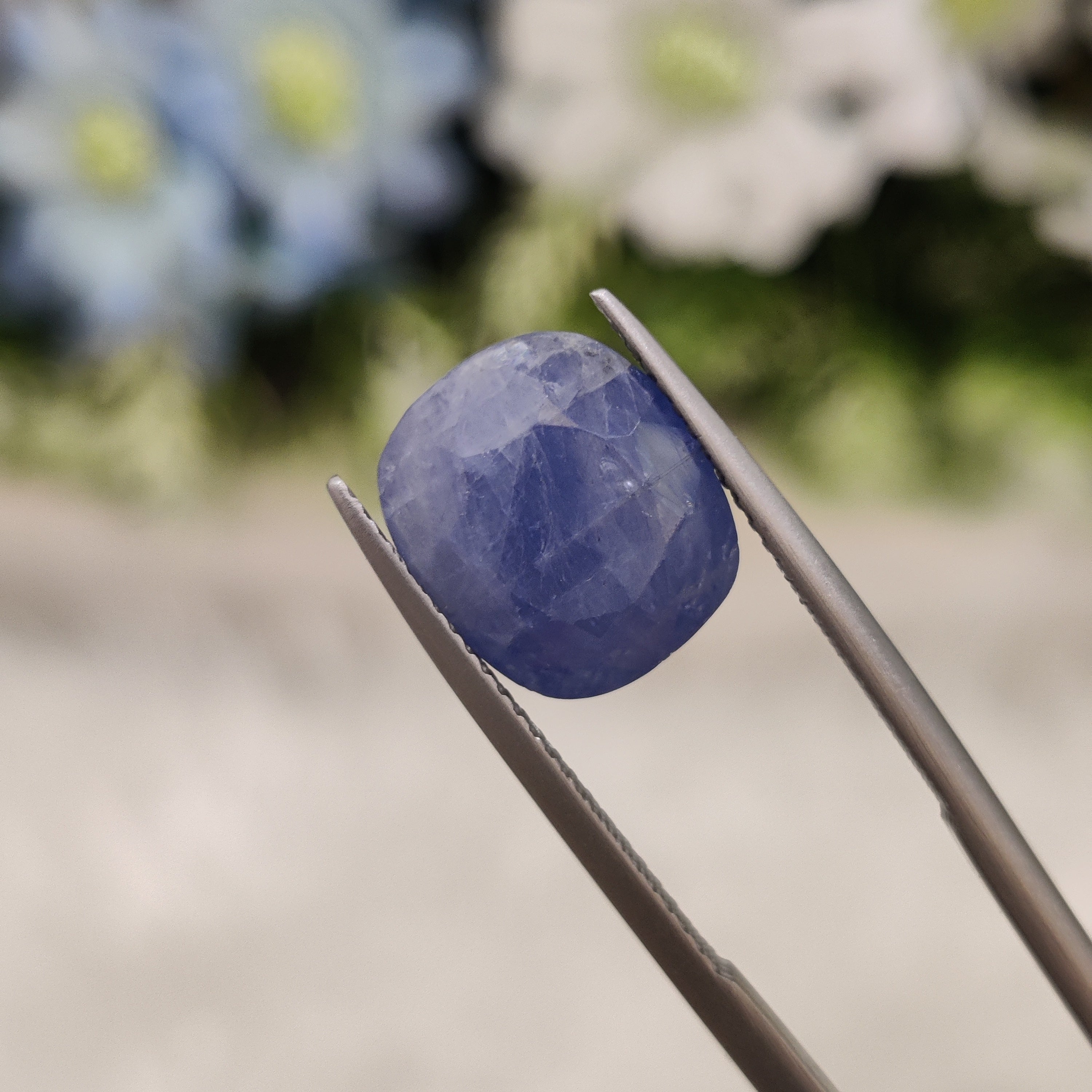 Blue Sapphire | BS 21 | 8.73 Carat