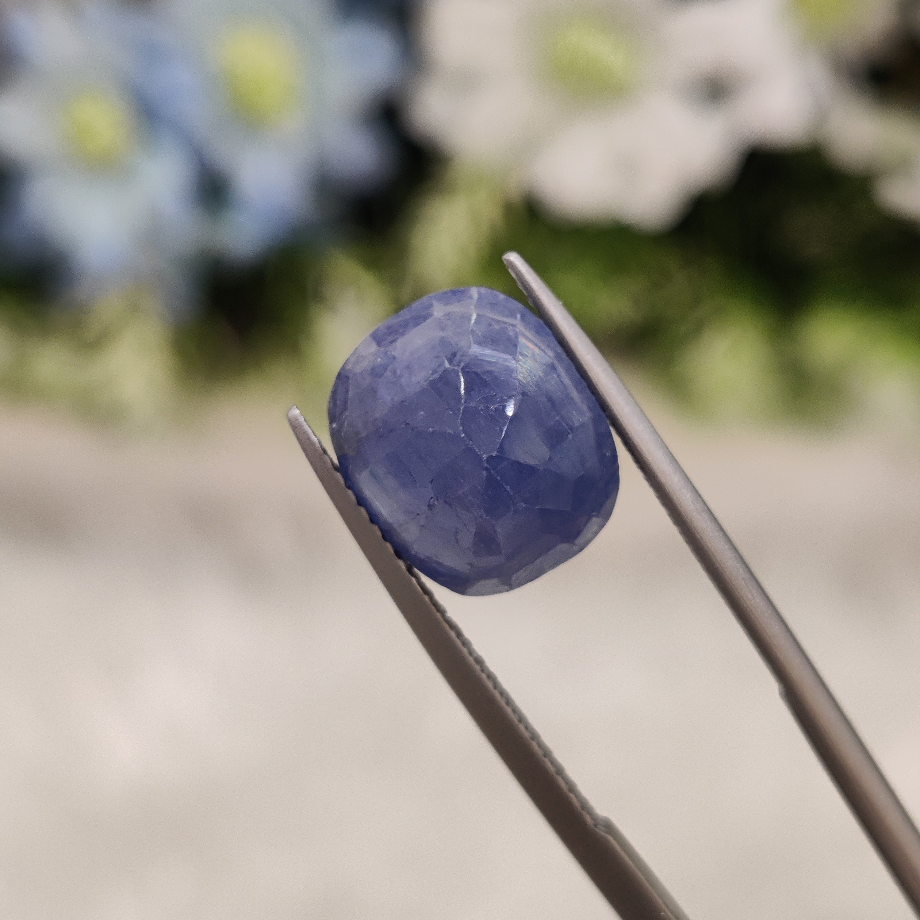 Blue Sapphire | BS 21 | 8.73 Carat