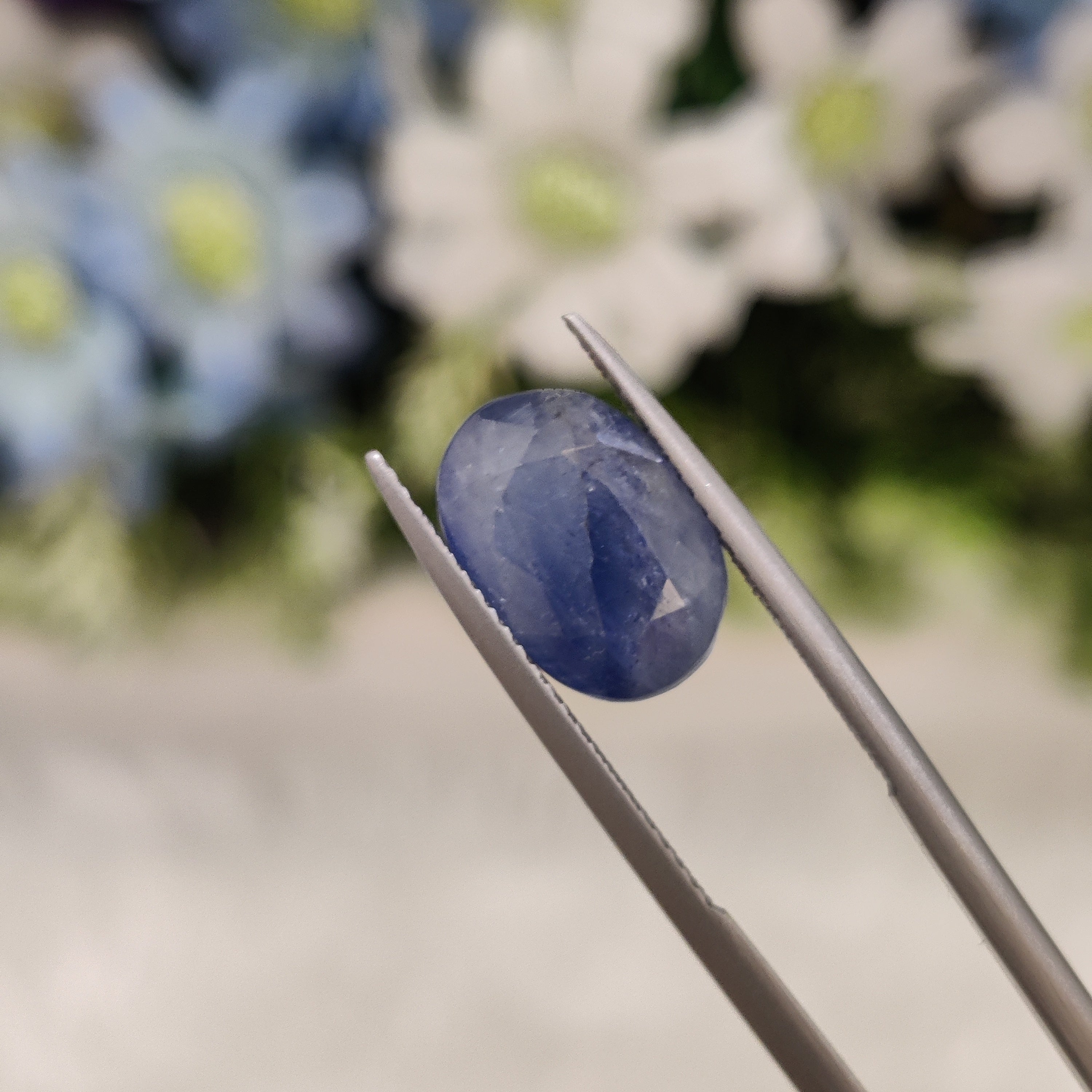 Blue Sapphire | BS 19 | 5.88 Carat