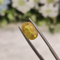 Yellow Sapphire | YS 187 | 3.43 Carat