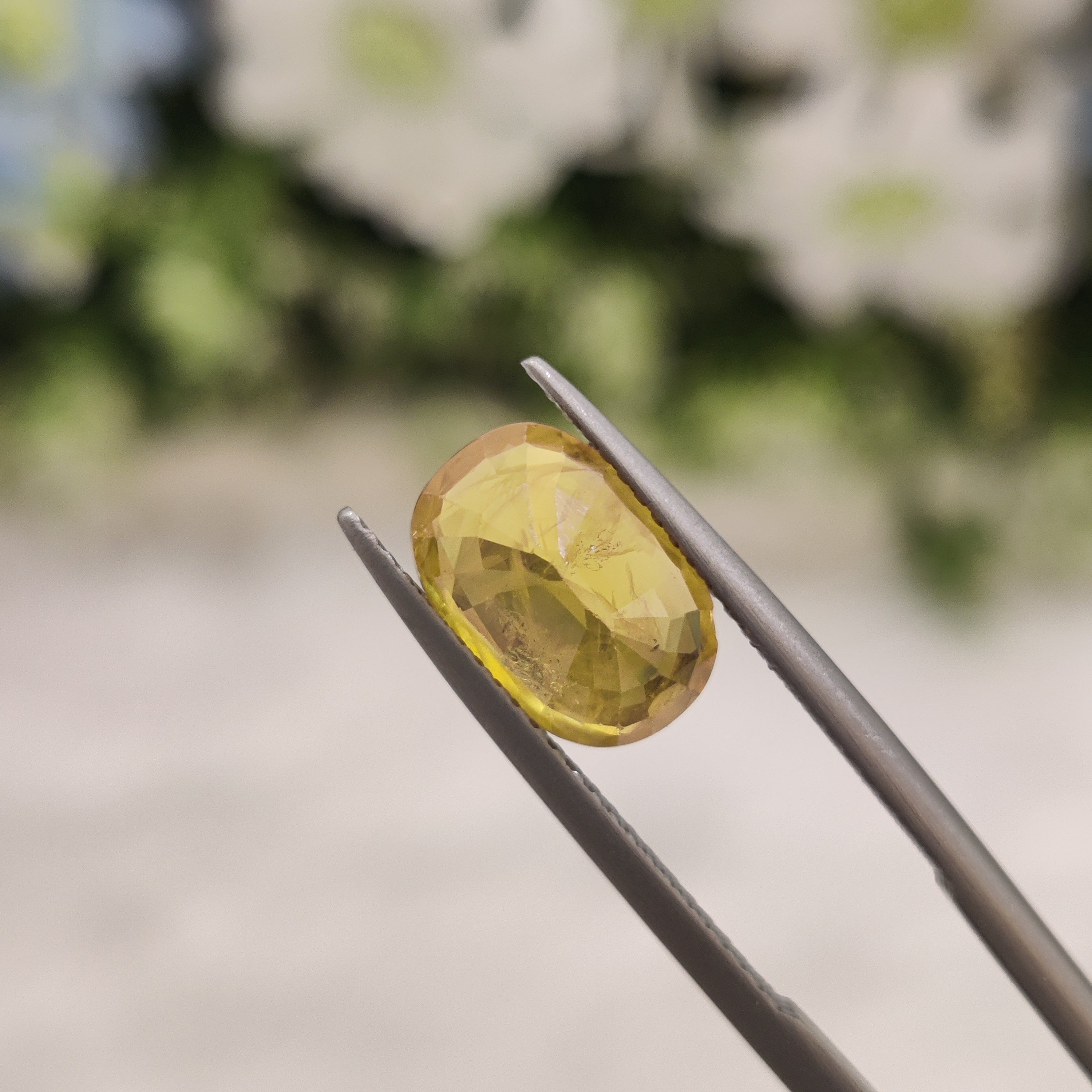 Yellow Sapphire | YS 187 | 3.43 Carat