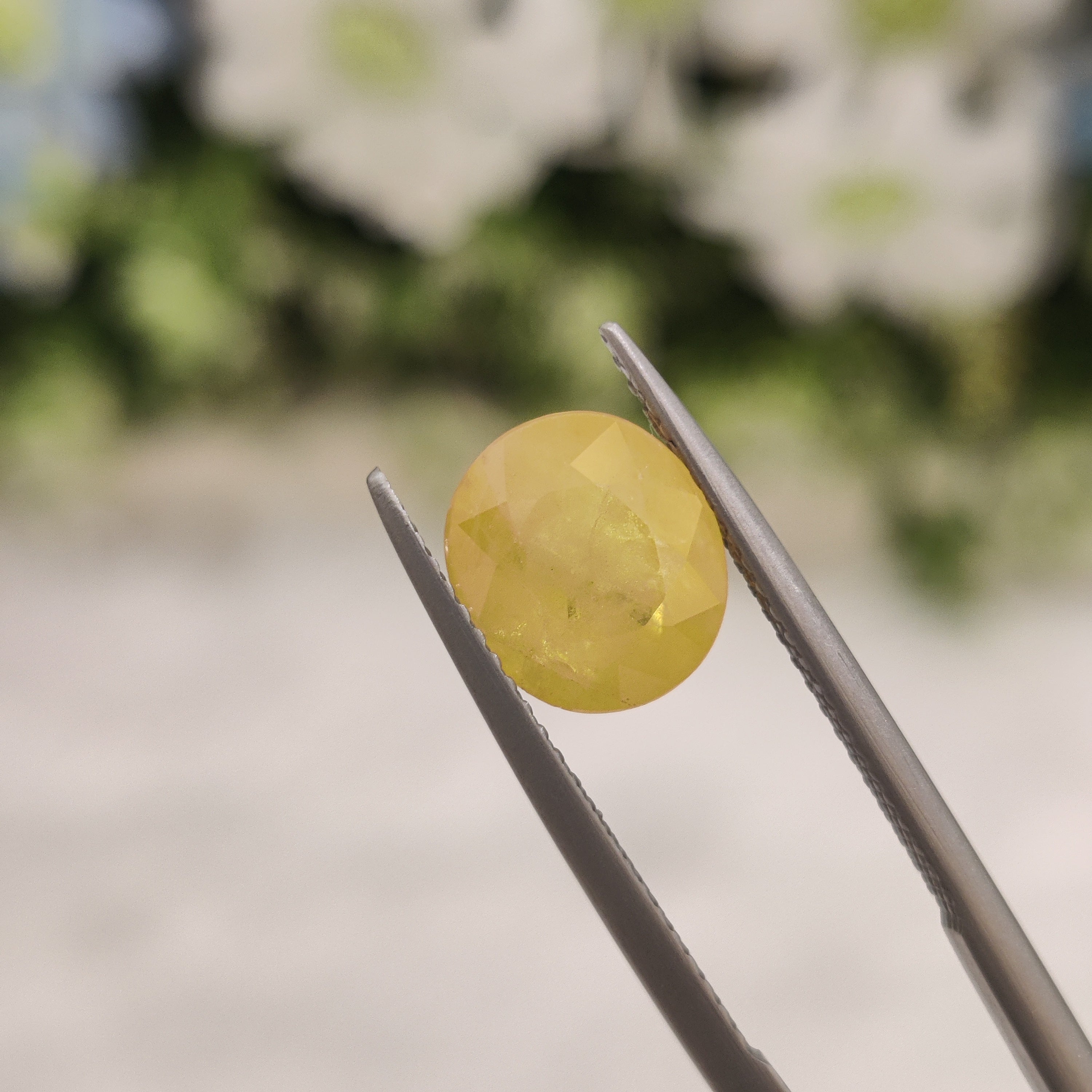 Yellow Sapphire | YS 16 | 3.6 Carat