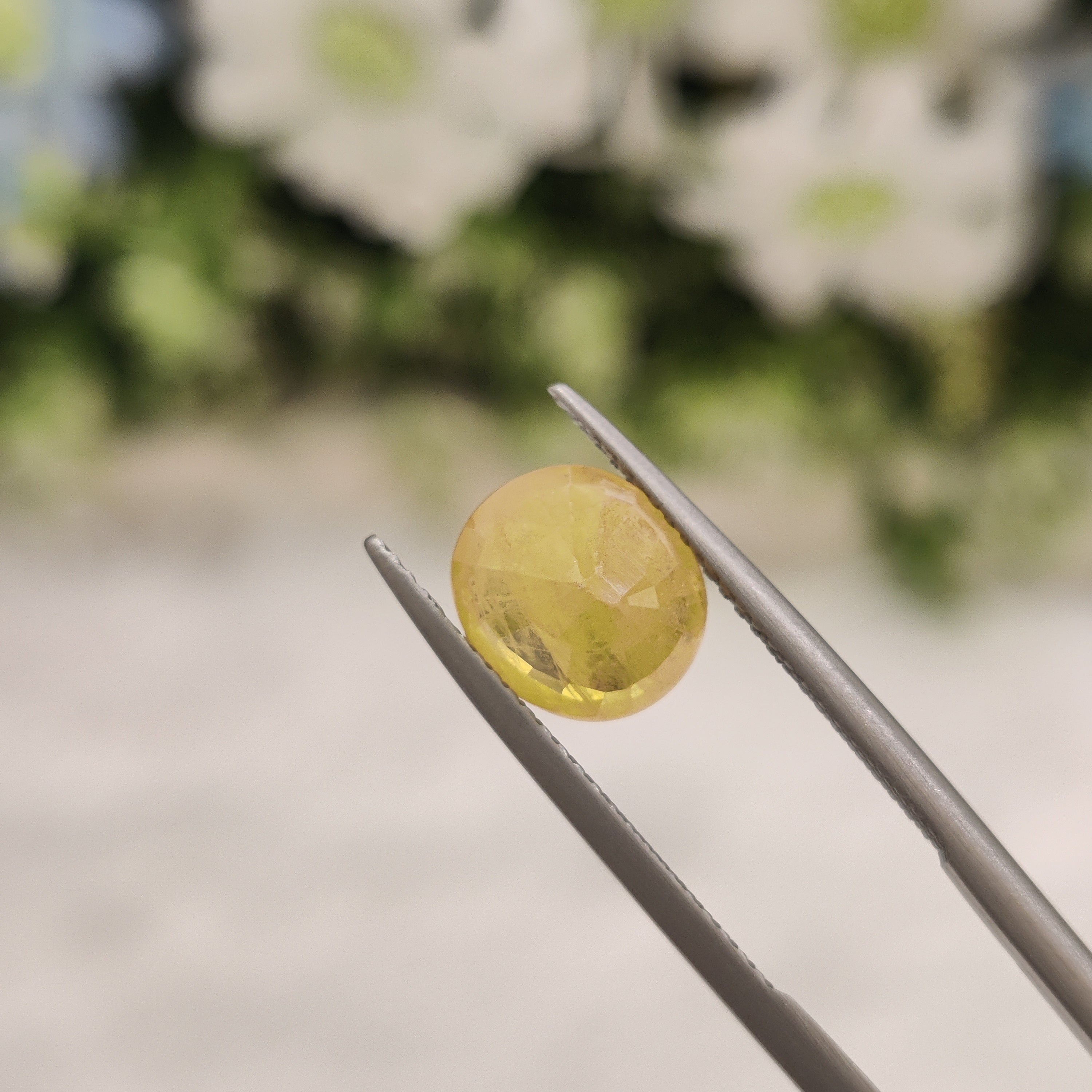 Yellow Sapphire | YS 16 | 3.6 Carat