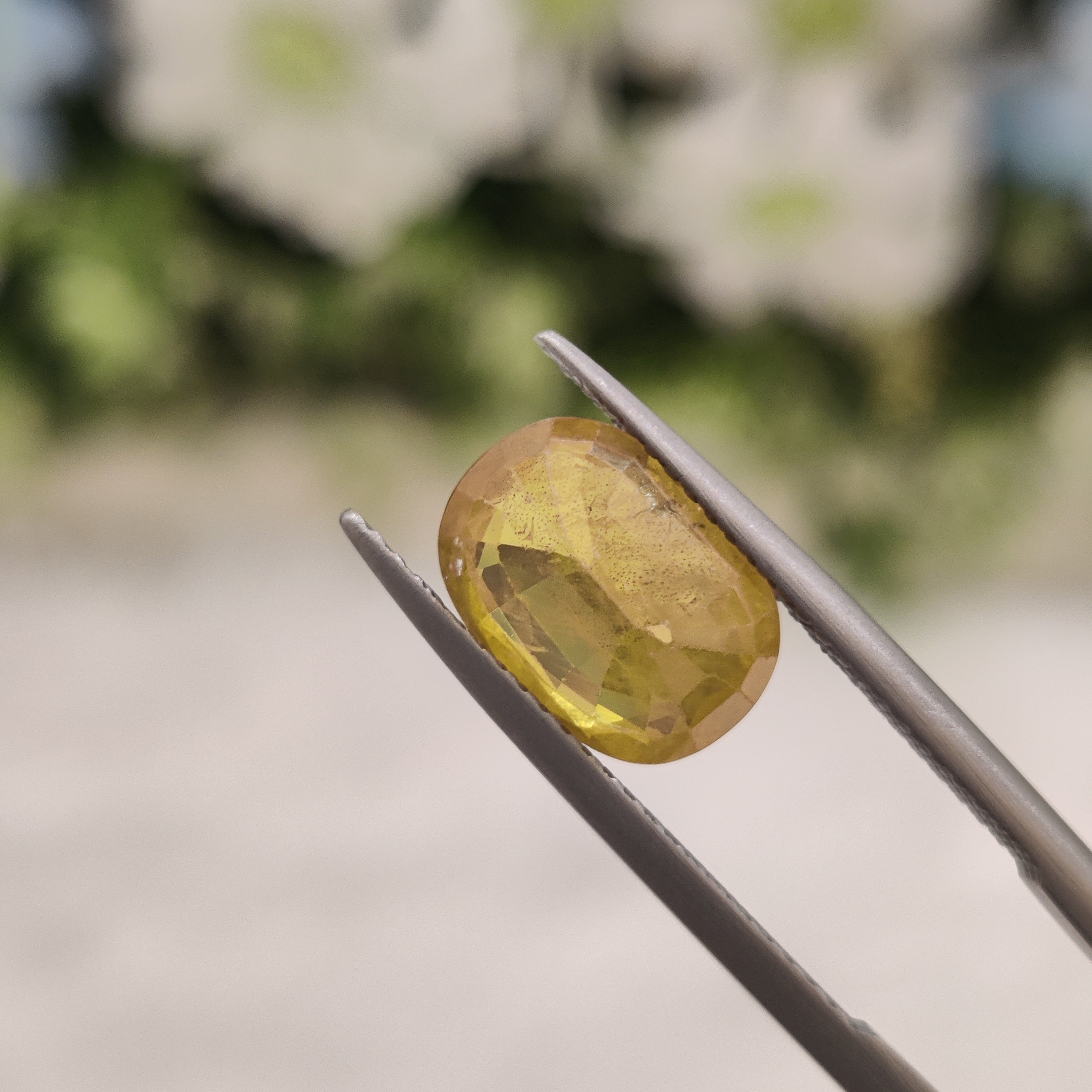 Yellow Sapphire | YS 59 | 3.79 Carat