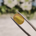 Yellow Sapphire | YS 59 | 3.79 Carat