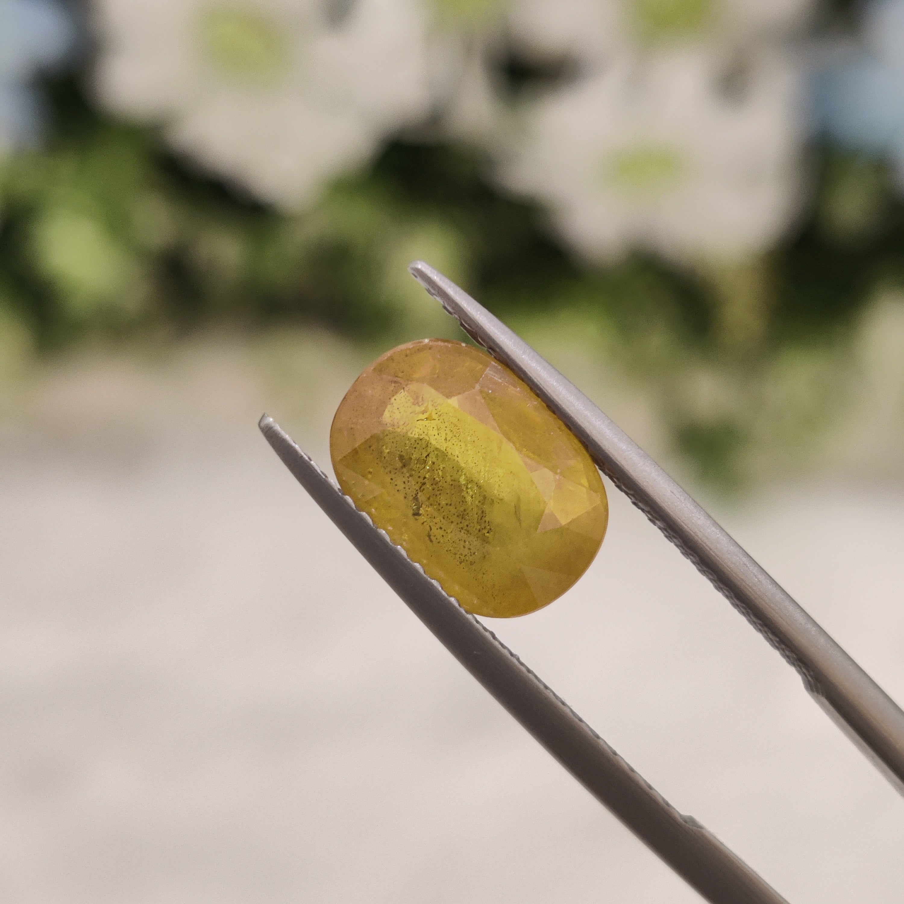 Yellow Sapphire | YS 59 | 3.79 Carat