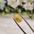 Yellow Sapphire | YS 239 | 3.4 Carat