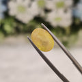 Yellow Sapphire | YS 225 | 3.71 Carat