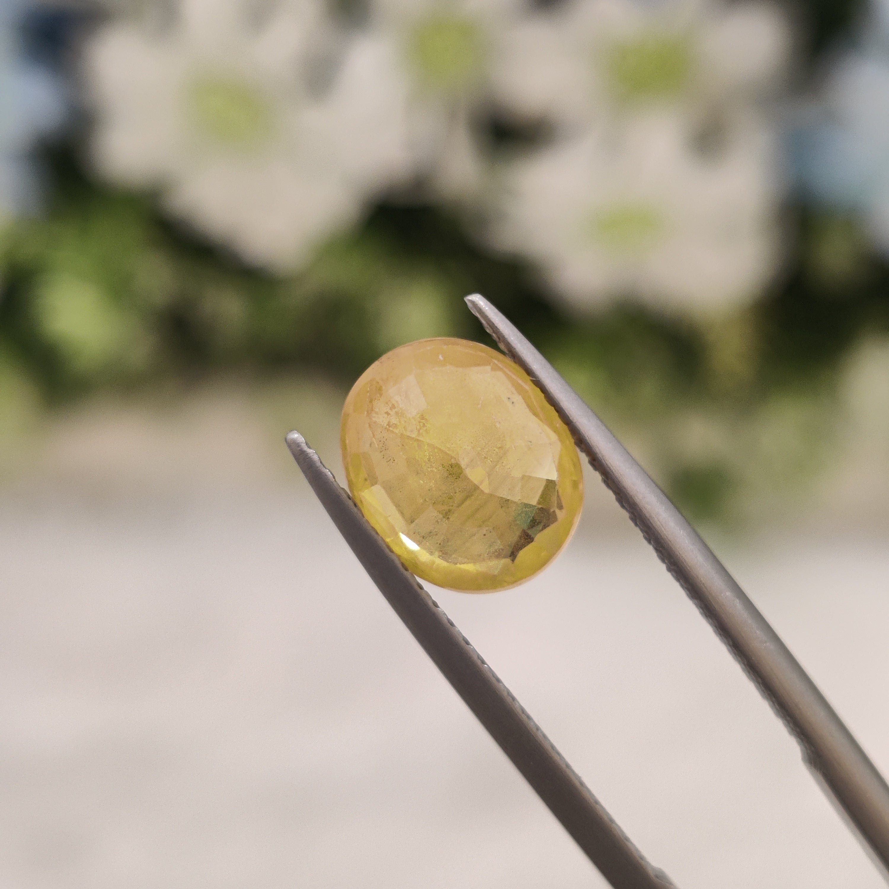 Yellow Sapphire | YS 218 | 3.15 Carat