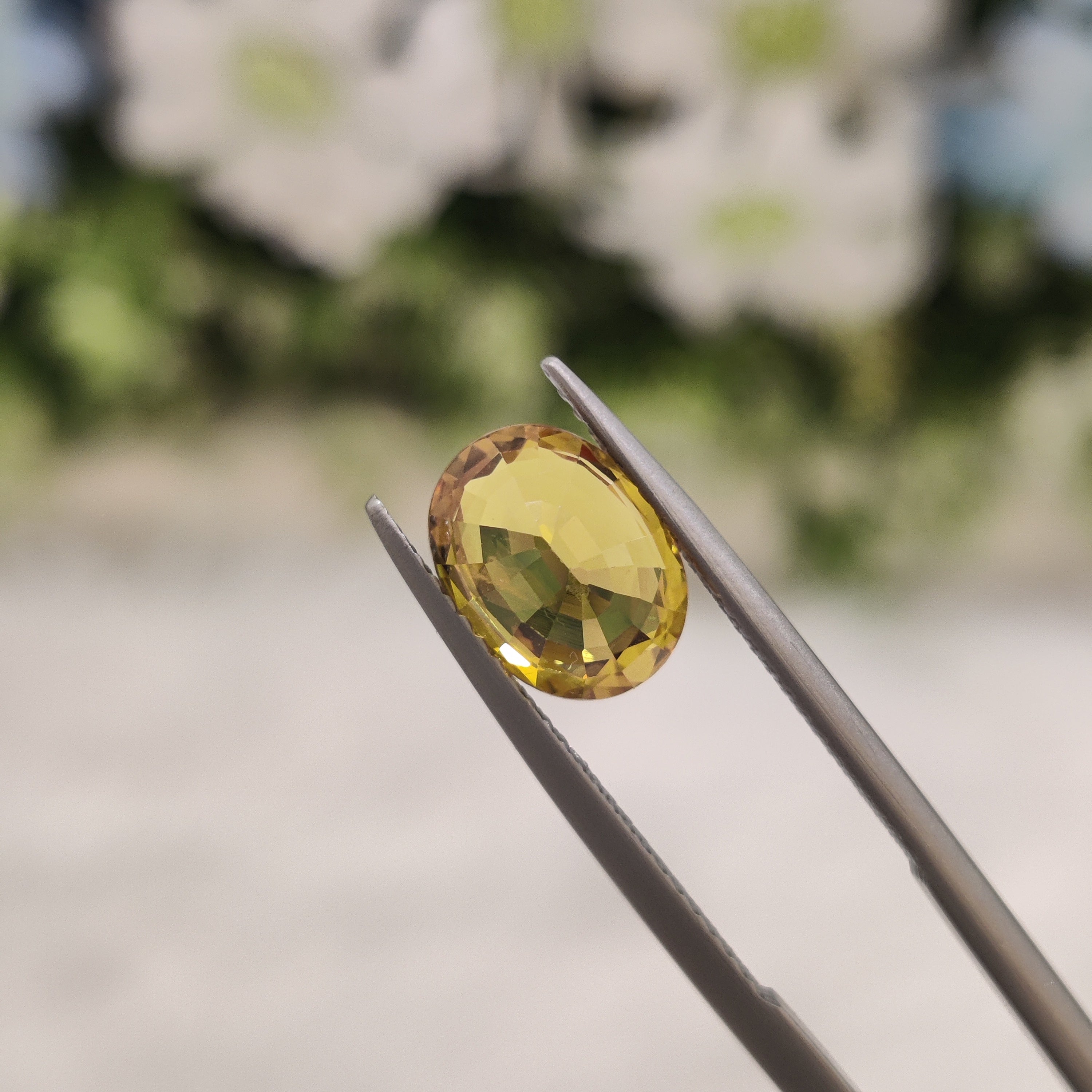 Yellow Sapphire | YS 27 | 3.09 Carat