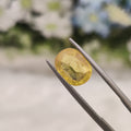 Yellow Sapphire | YS 205 | 3.97 Carat