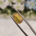 Yellow Sapphire | YS 95 | 3.45 Carat