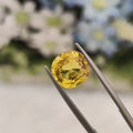 Yellow Sapphire | YS 39 | 3.63 Carat
