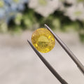 Yellow Sapphire | YS 196 | 4.38 Carat